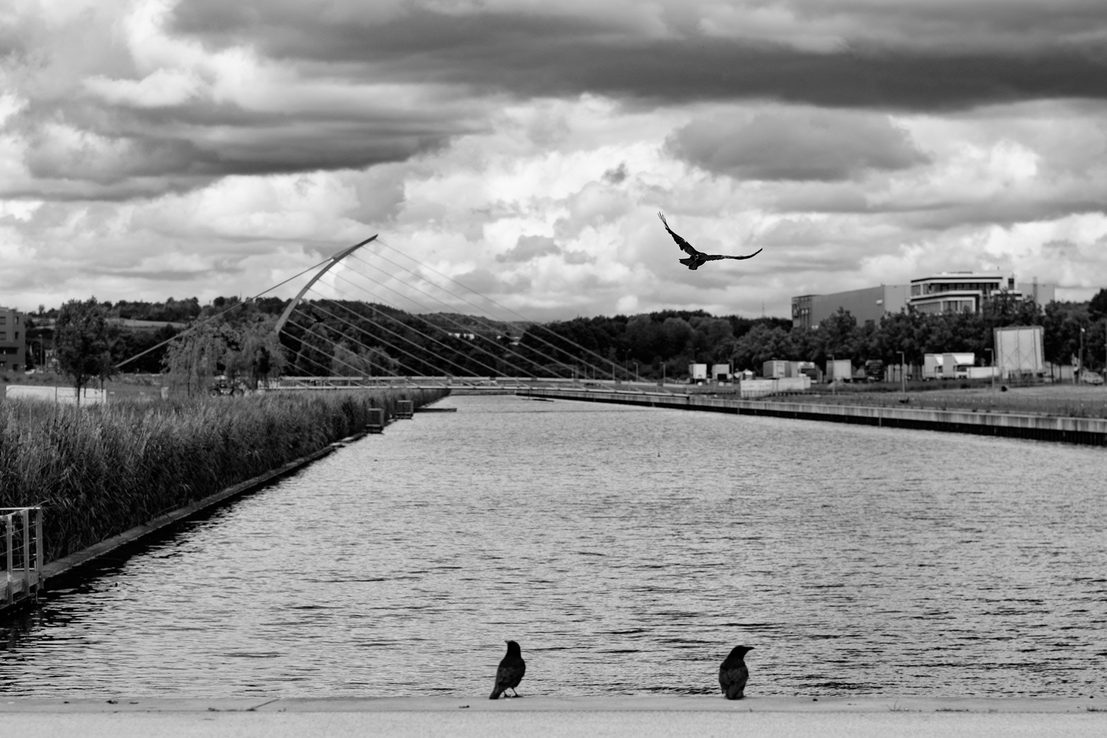 Fujifilm X-T10 + Fujifilm XF 90mm F2 R LM WR sample photo. Böblingen flugfeld photography