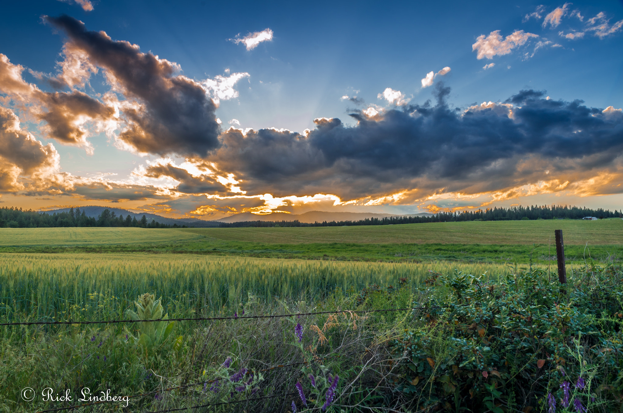 Pentax K-50 + A Series Lens sample photo. Sunset photography