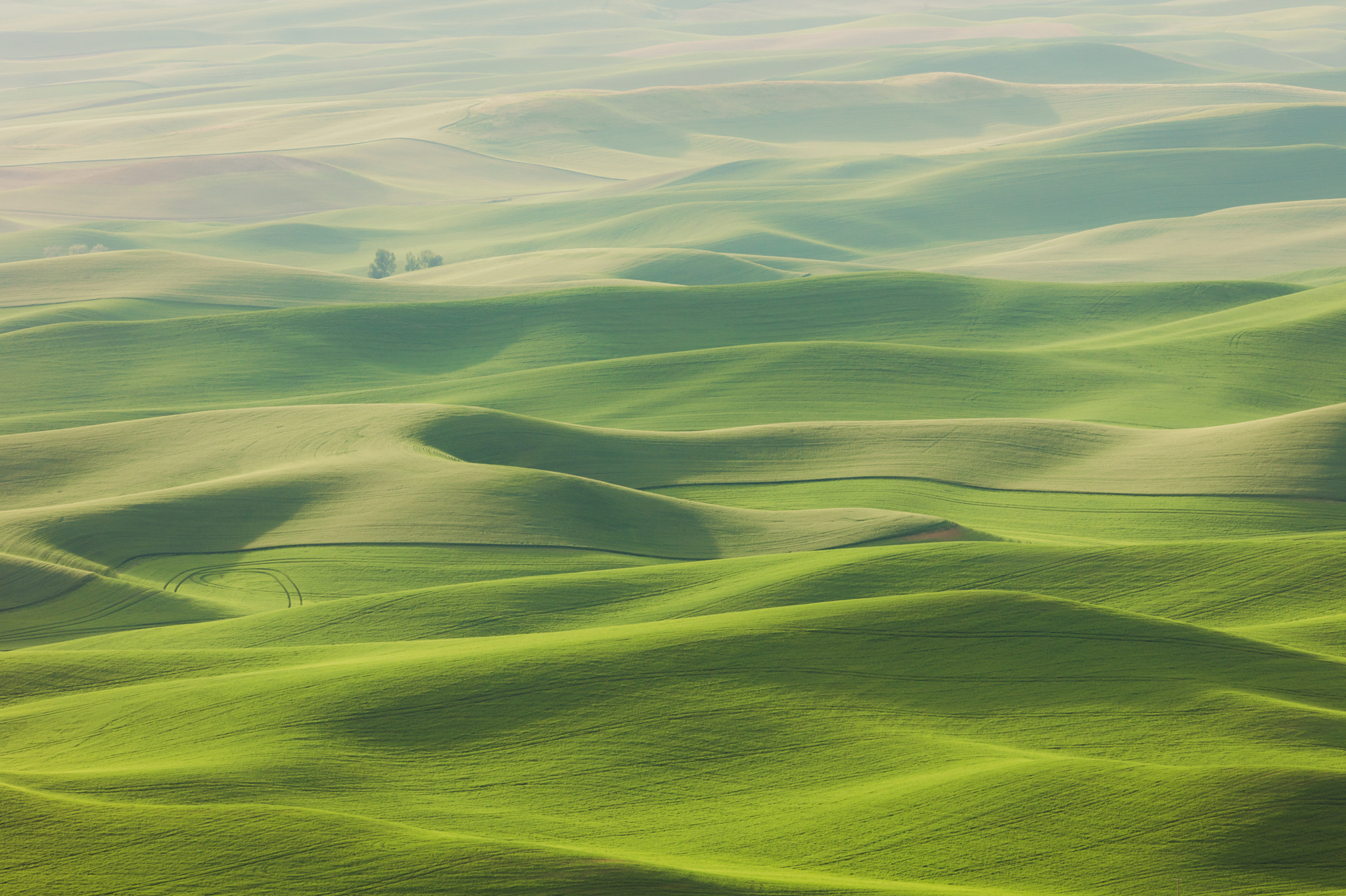 150-600mm F5-6.3 DG OS HSM | Contemporary 015 sample photo. Rolling hills photography