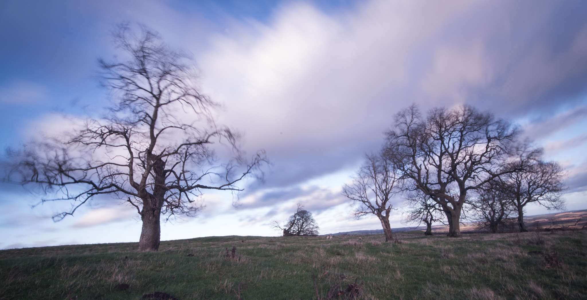 Sigma AF 10-20mm F4-5.6 EX DC sample photo. Breezy day photography
