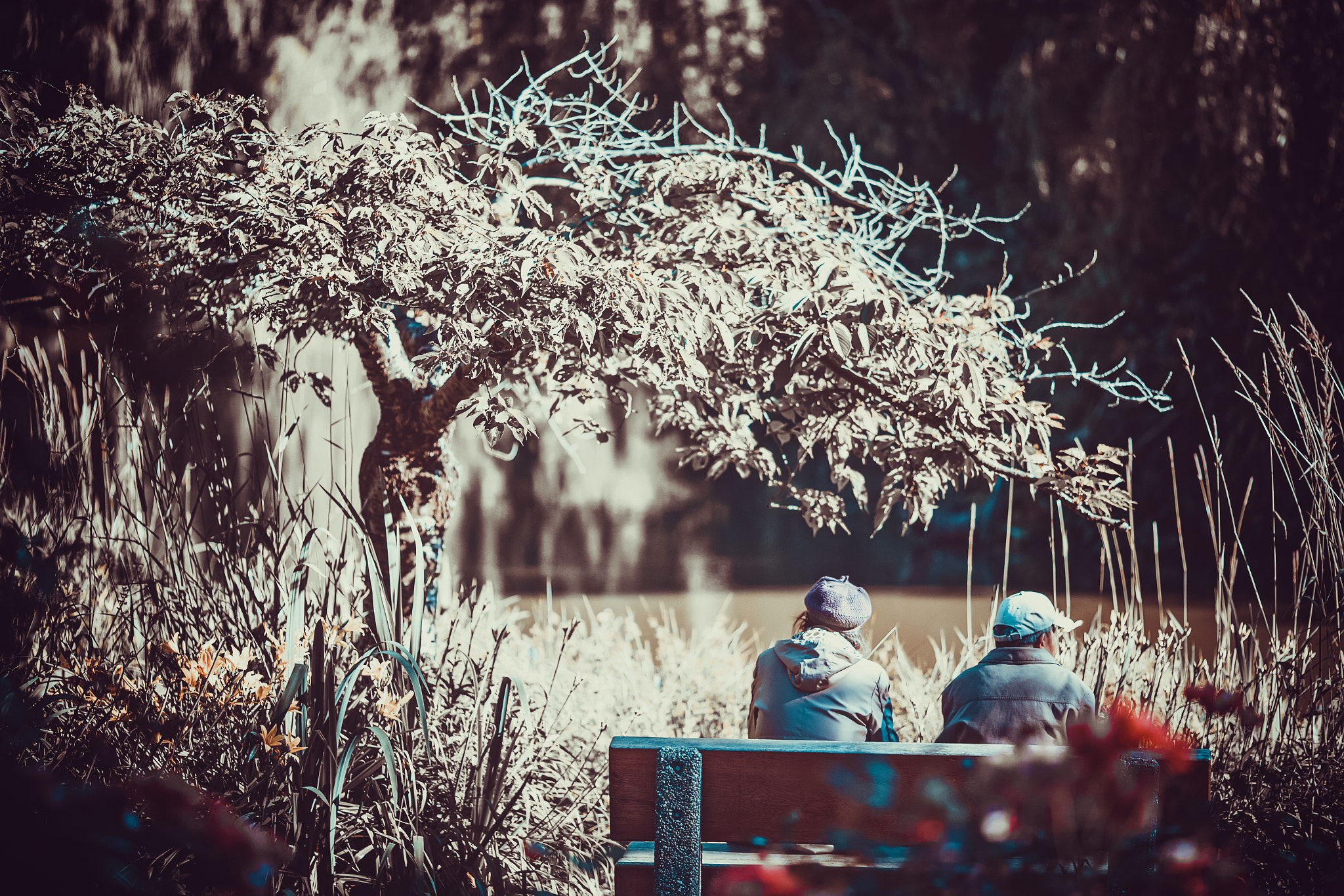 Canon EF 135mm F2L USM sample photo. 老有所依 to let the old have someone to depend on photography