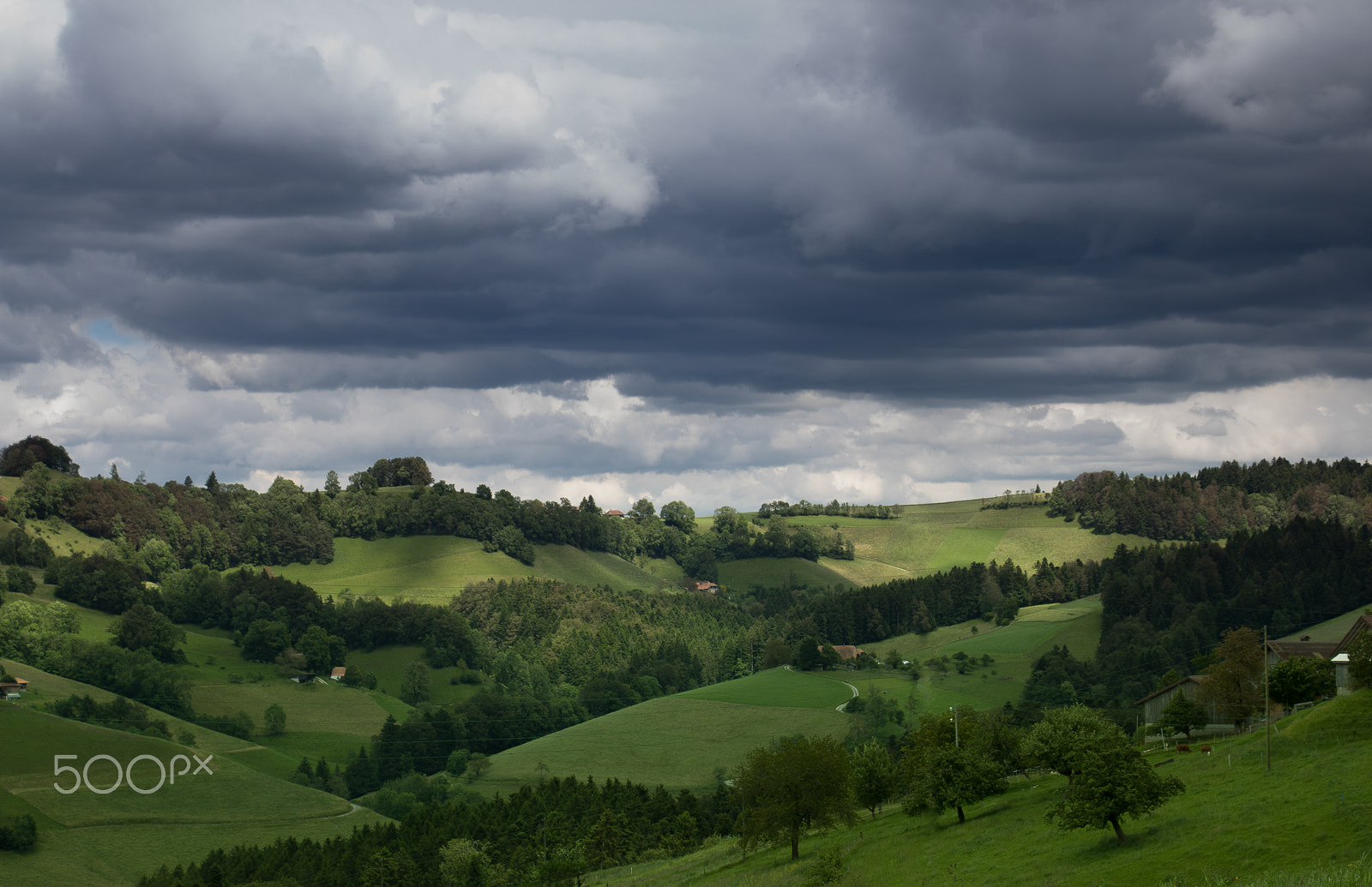 Canon EOS 750D (EOS Rebel T6i / EOS Kiss X8i) sample photo. Vorderfutigen photography