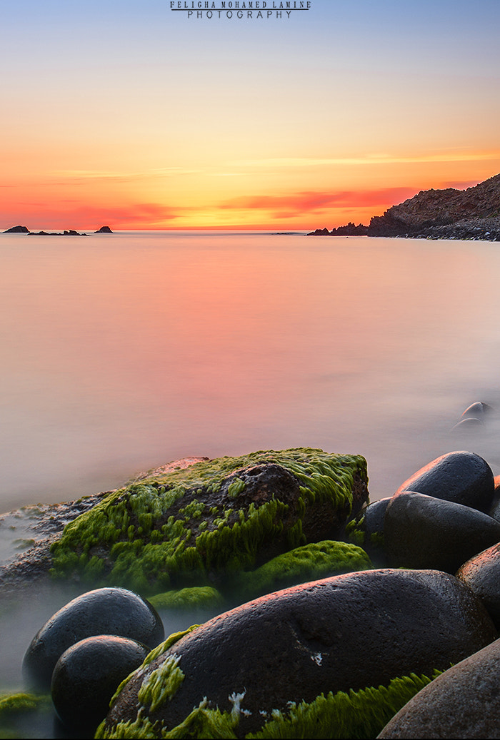 Sigma 18-50mm F2.8-4.5 DC OS HSM sample photo. Annaba sunset photography