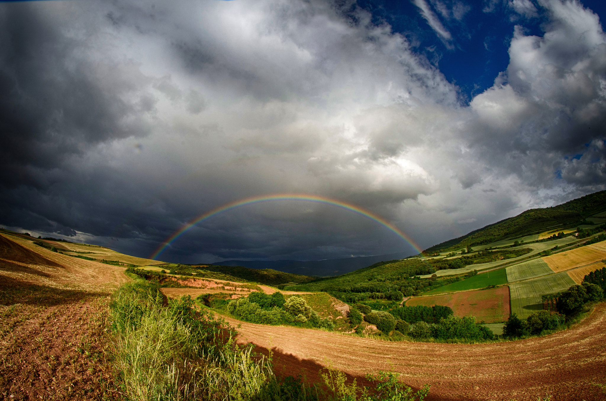 Nikon D7000 + Samyang 8mm F3.5 Aspherical IF MC Fisheye sample photo. Guisantes photography