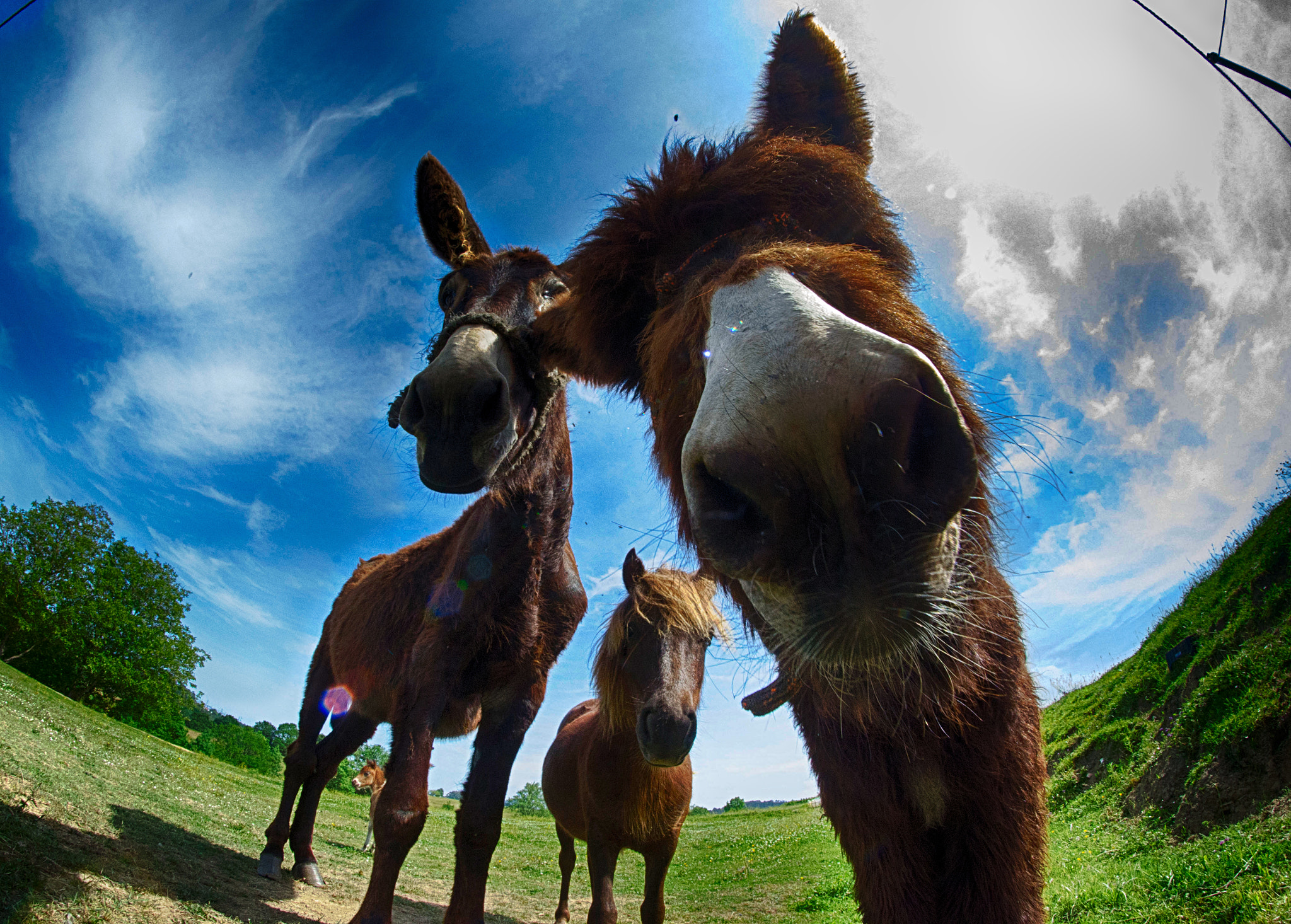 Nikon D7000 + Samyang 8mm F3.5 Aspherical IF MC Fisheye sample photo. Marujas photography