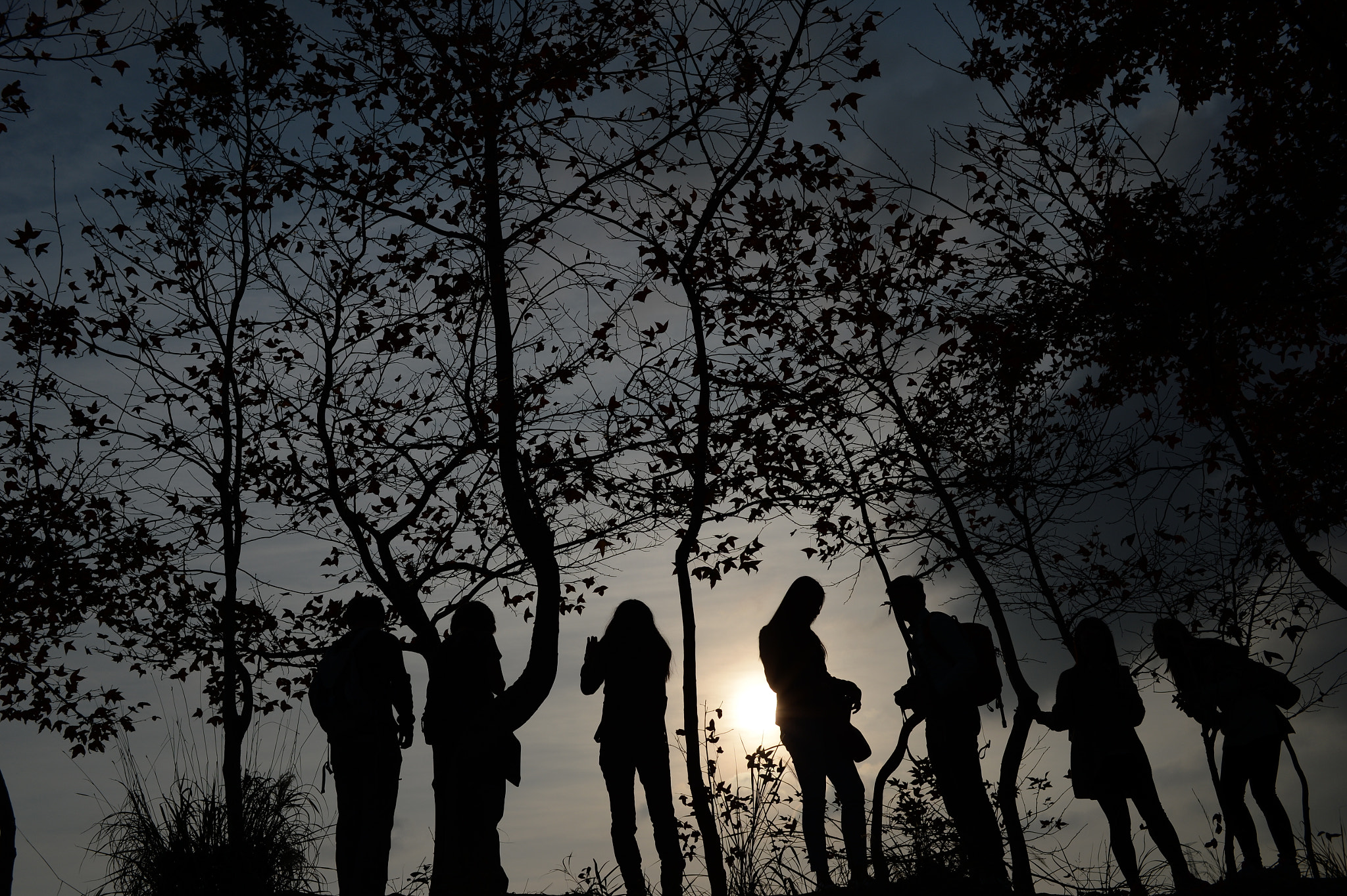 Nikon Df + Nikon AF Nikkor 35mm F2D sample photo. Everyone 各人 photography