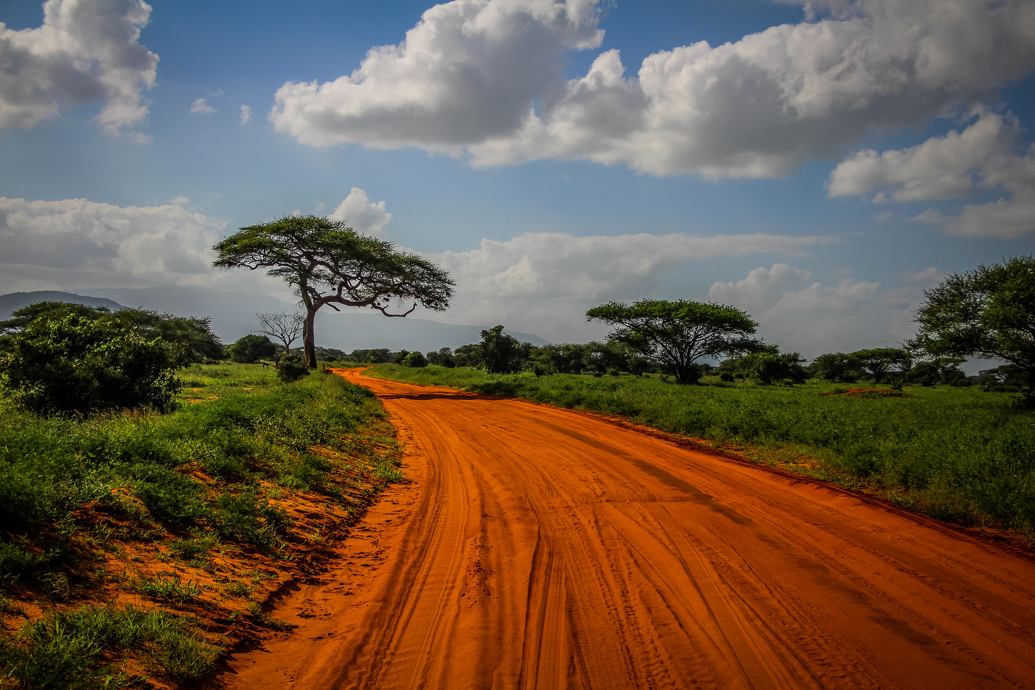 Sigma 18-125mm F3.8-5.6 DC OS HSM sample photo. Tsavo east - red street photography
