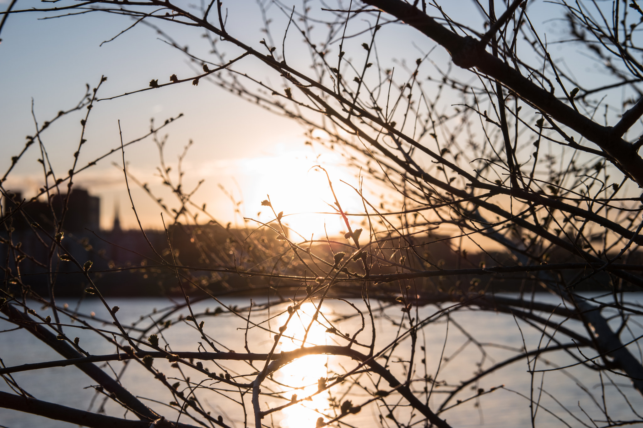 Samsung NX500 + Samsung NX 45mm F1.8 sample photo. Montreal saint laurent at sunset photography