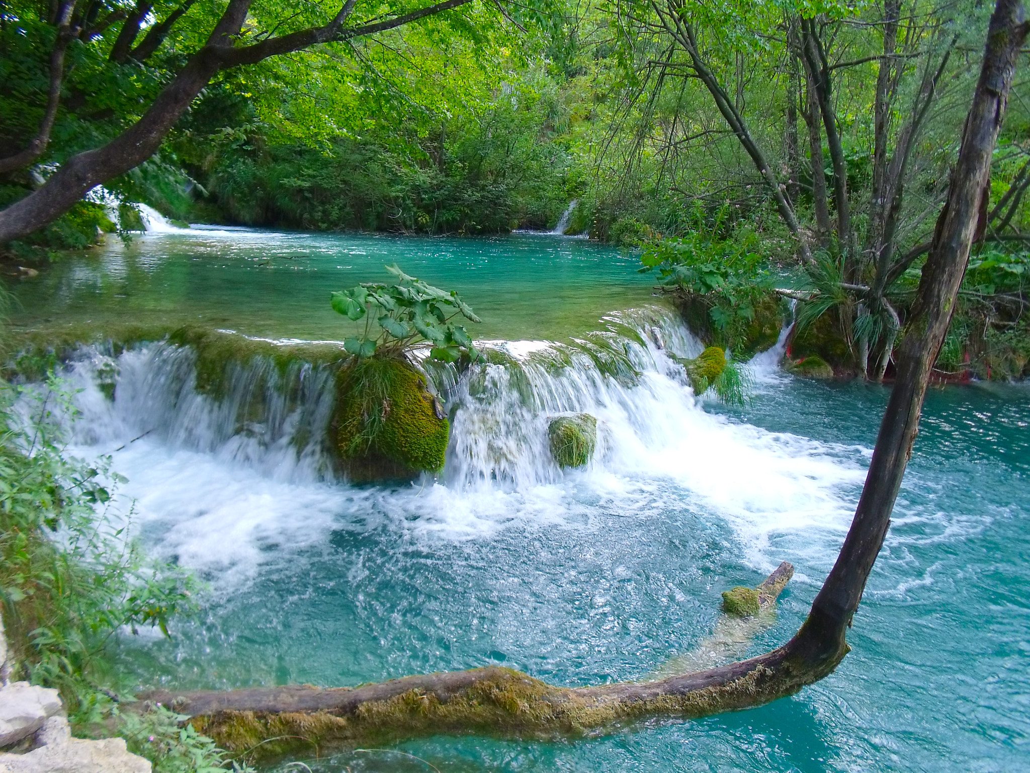 Fujifilm FinePix J250 sample photo. Plitvice photography