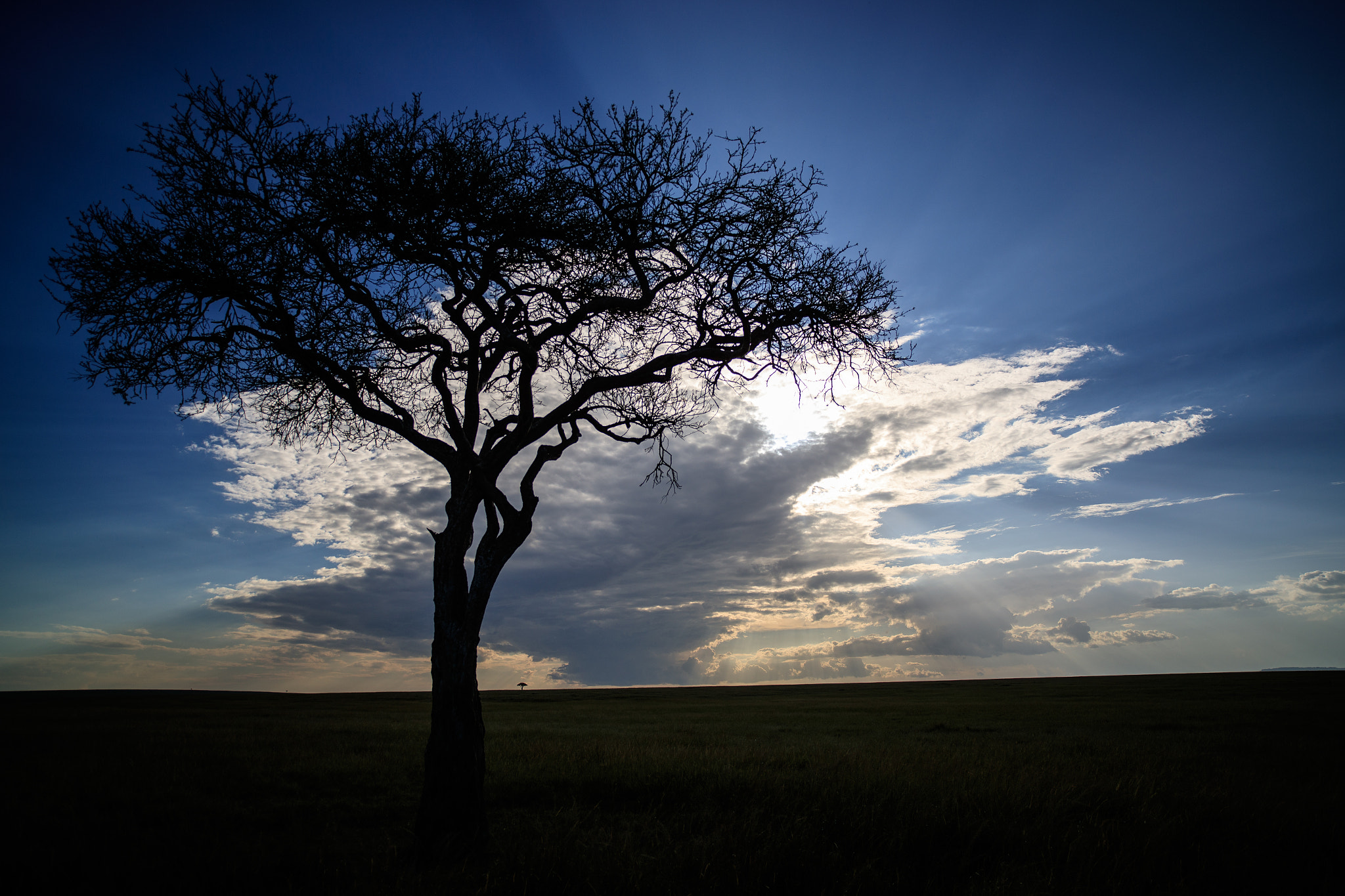 Canon EOS-1D X Mark II sample photo. Mara lands photography