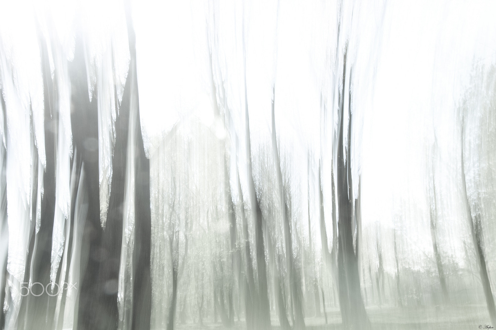 Canon EF-S 10-18mm F4.5–5.6 IS STM sample photo. Shadow woods photography