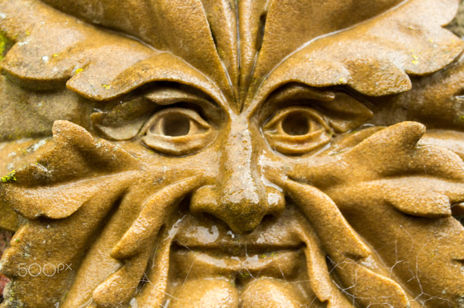 Sony SLT-A37 sample photo. Green man photography