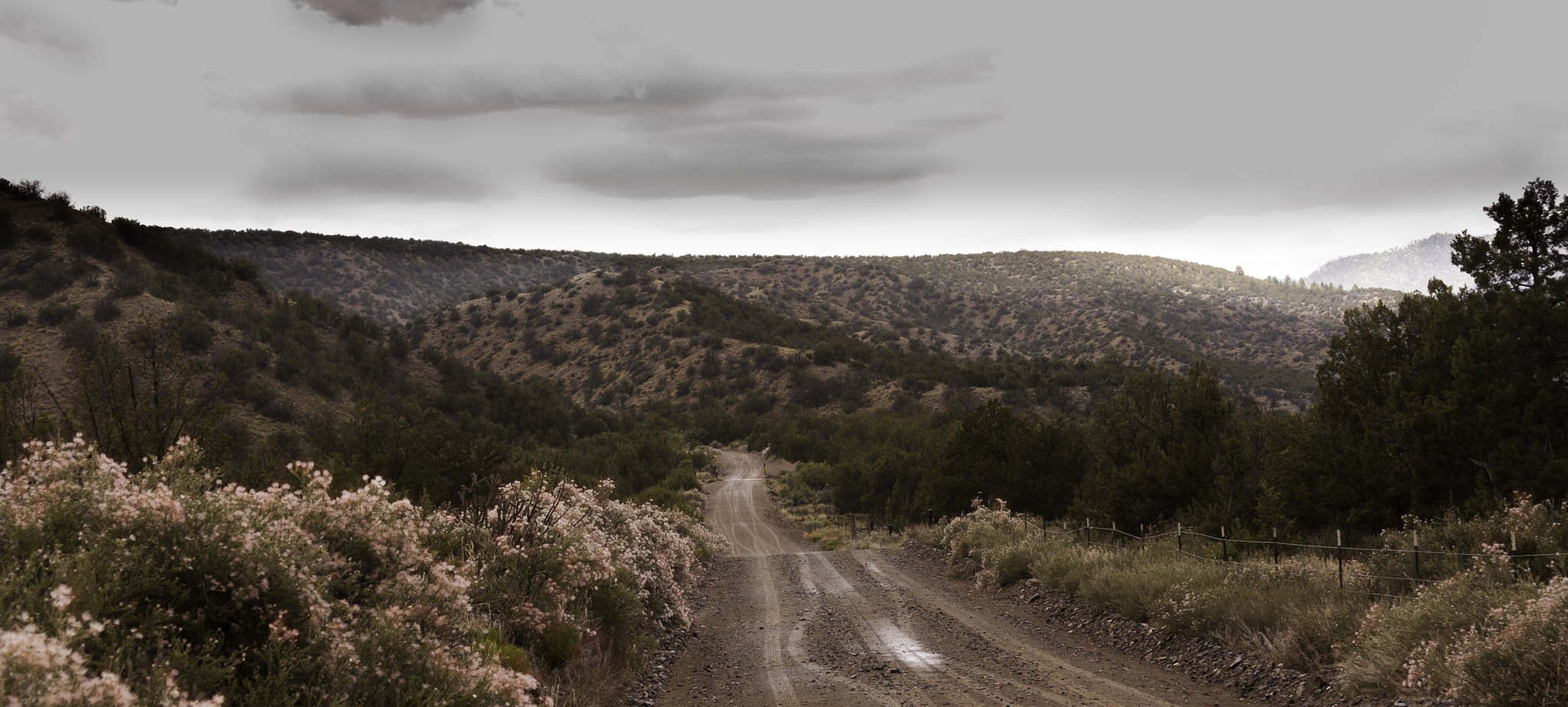 Nikon D80 sample photo. Road to somewhere photography