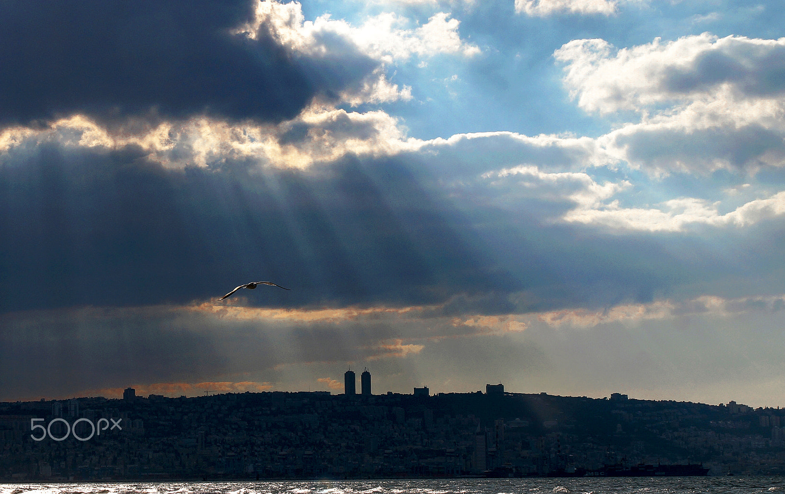 Sony Alpha a3000 + Sony DT 50mm F1.8 SAM sample photo. Haifa view photography