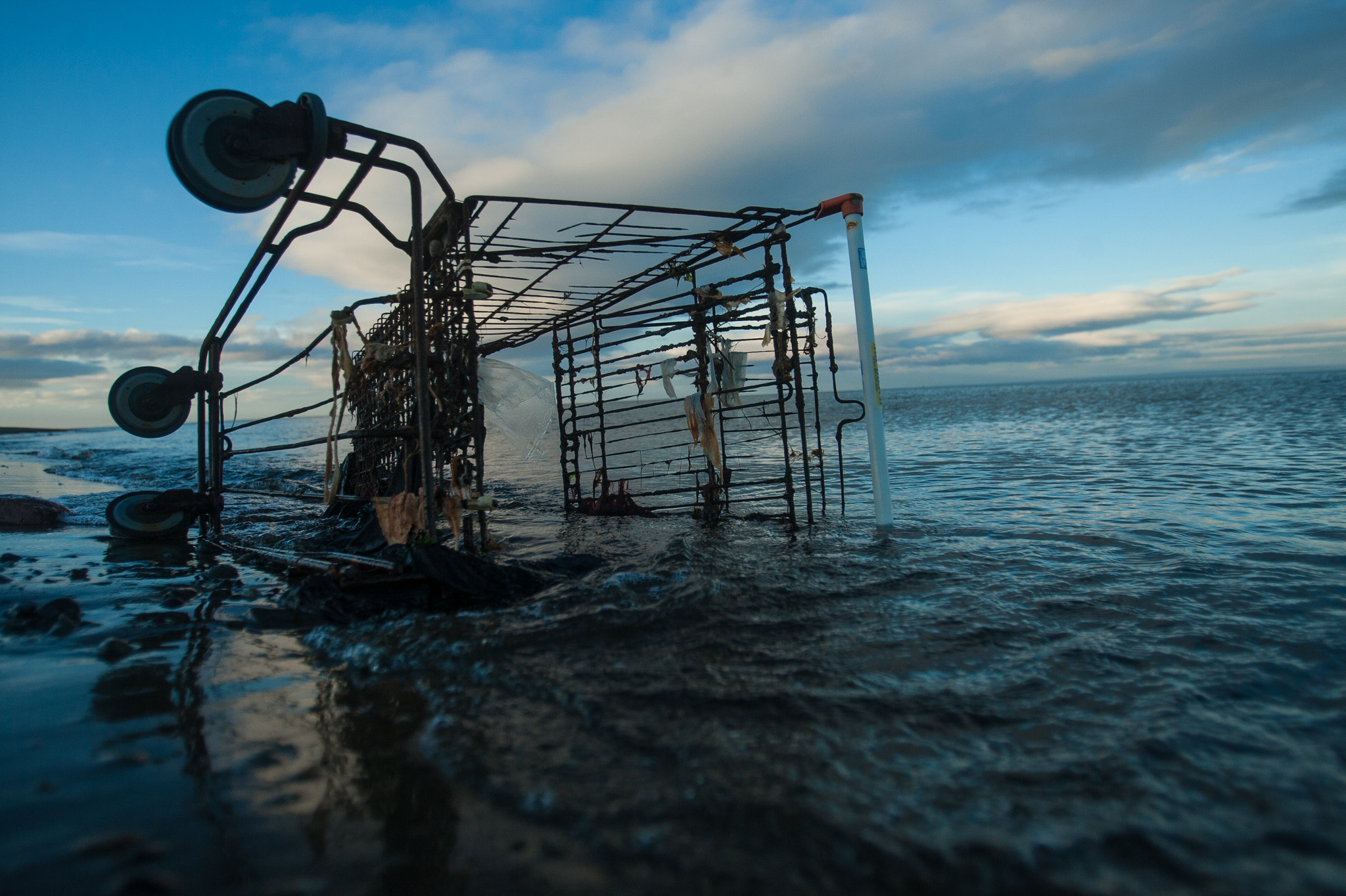 Canon EF 16-35mm F2.8L USM sample photo. Garbage in strait photography