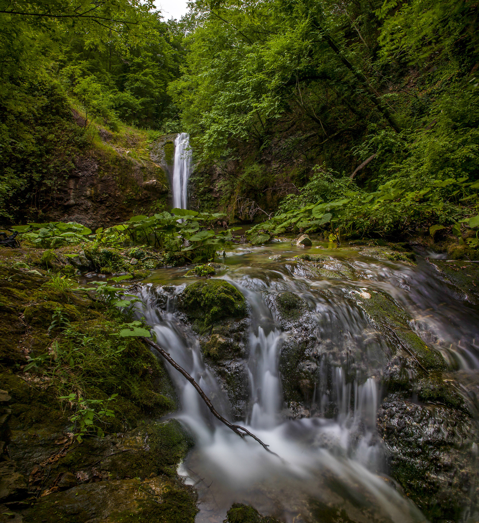 Canon EF 20-35mm F3.5-4.5 USM sample photo. Swallow pool photography