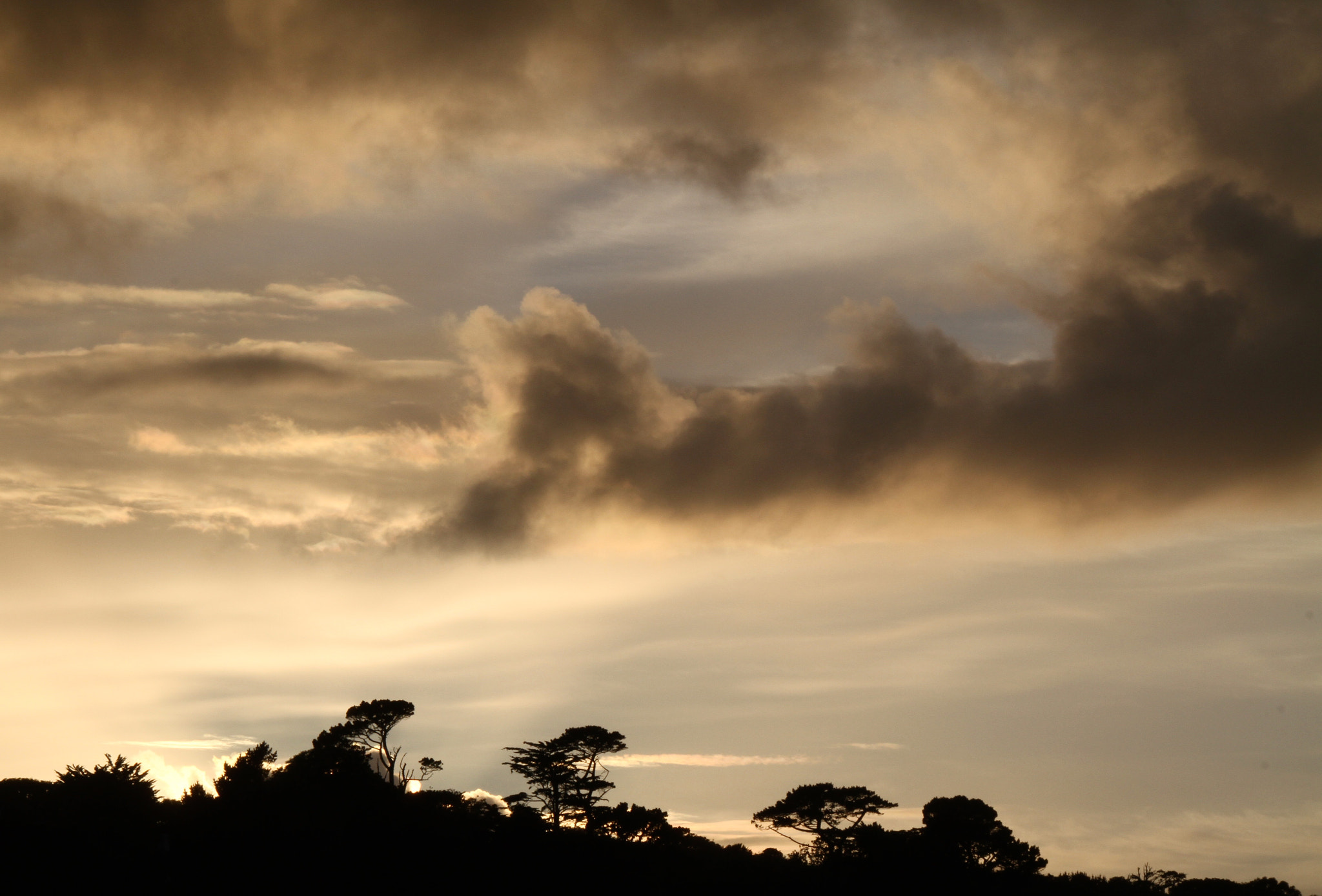 Canon 18-250mm sample photo. Tree line photography
