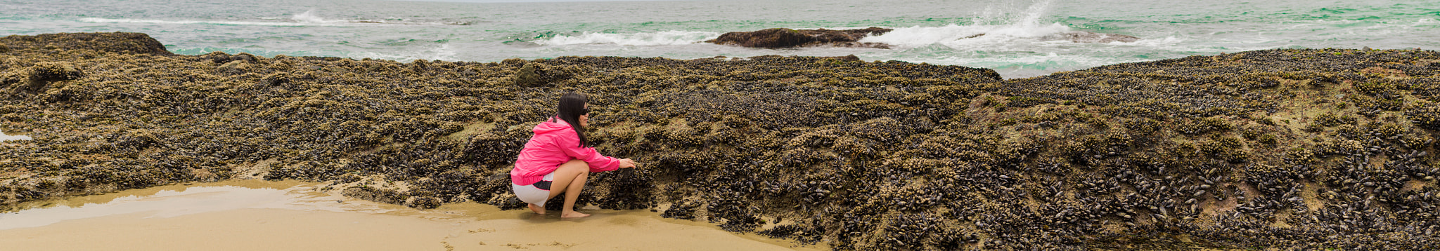 Sony Planar T* 50mm F1.4 ZA SSM sample photo. Island of mussels photography