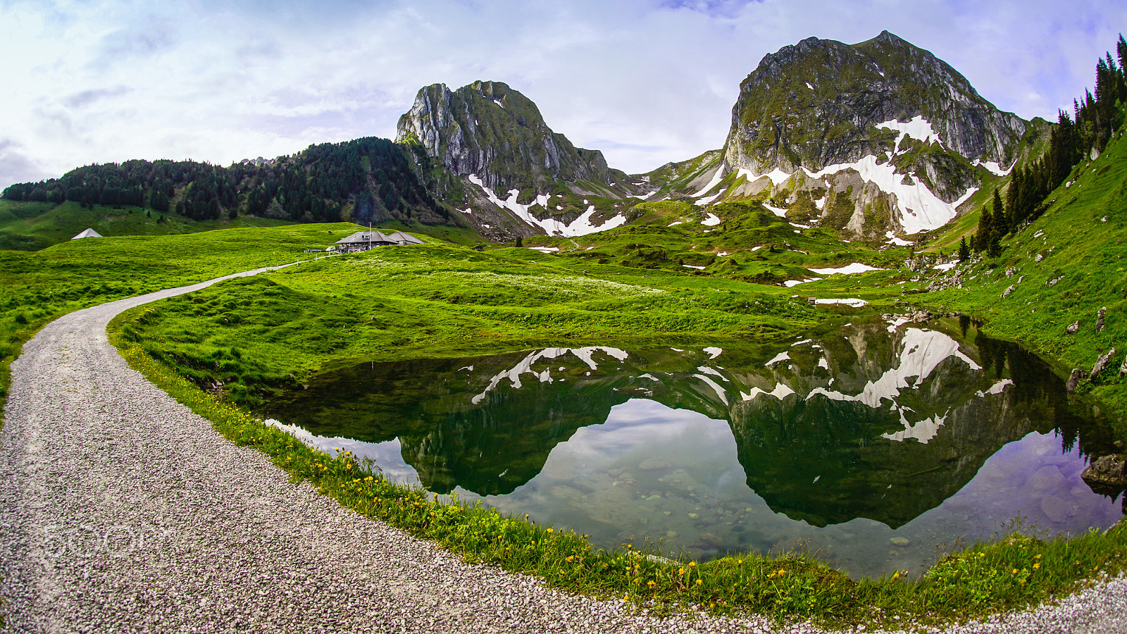 Sony a7R II + Sony 16mm F2.8 Fisheye sample photo. Gantrisch photography