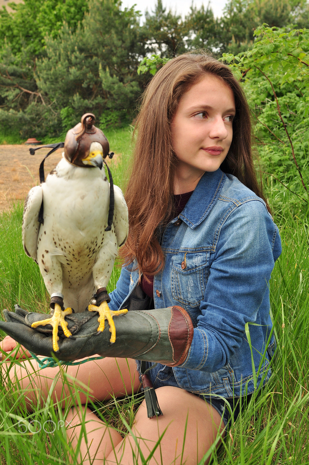 Nikon D90 + Nikon AF-S Nikkor 20mm F1.8G ED sample photo. "portrait photoshooting with falcon..." photography