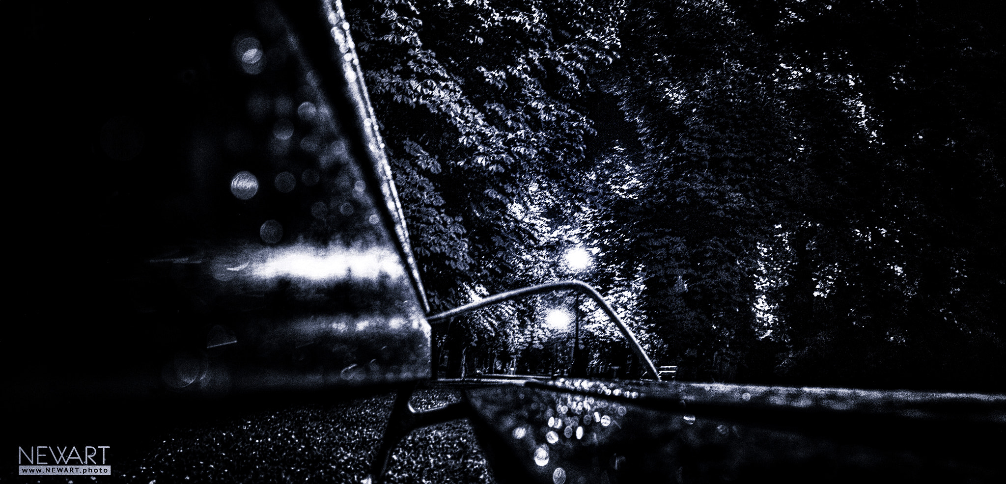Canon EOS-1Ds Mark II sample photo. Bench photography
