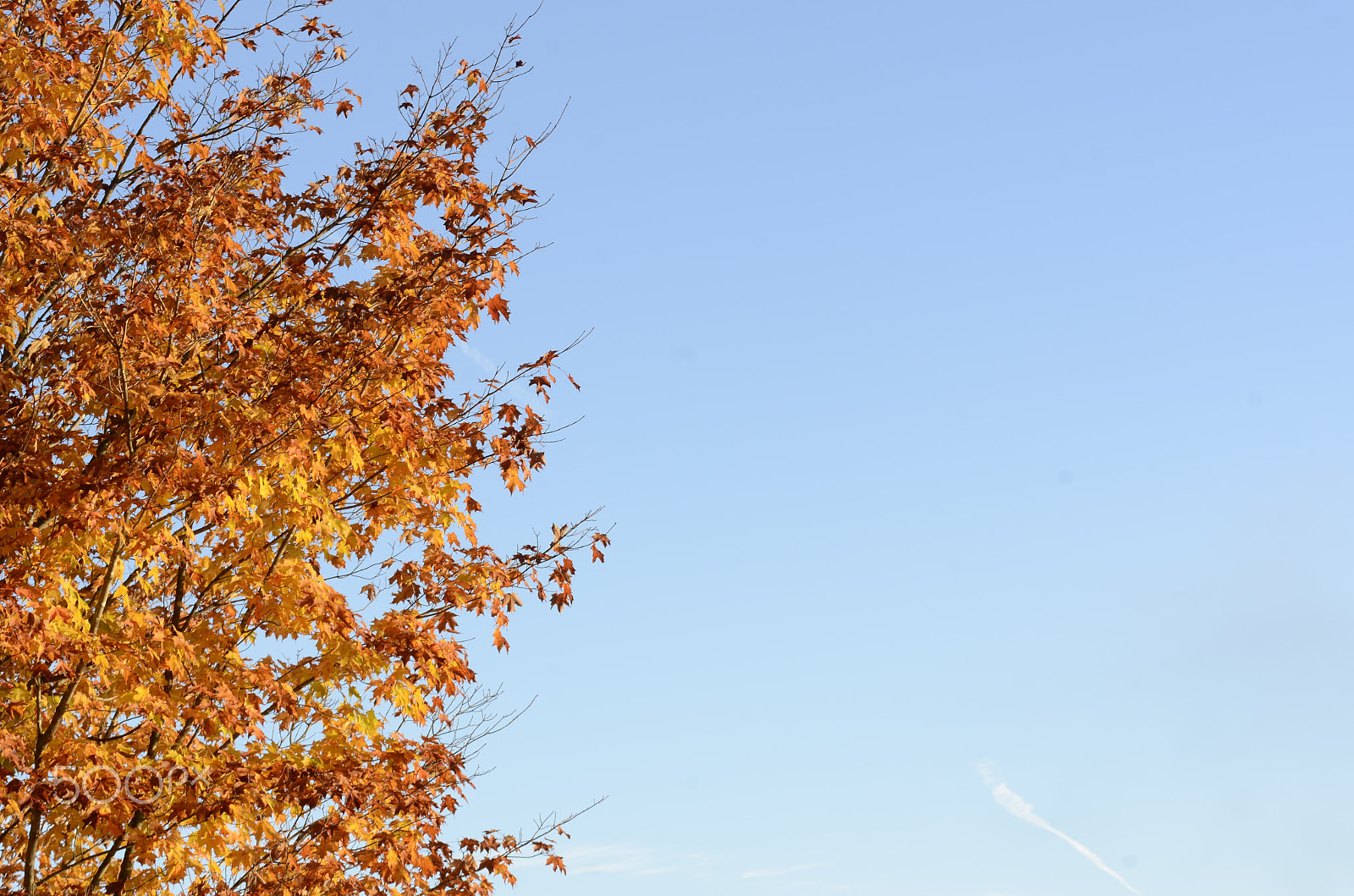 Sigma 50-150mm F2.8 EX APO DC HSM sample photo. 22736085177.jpg photography