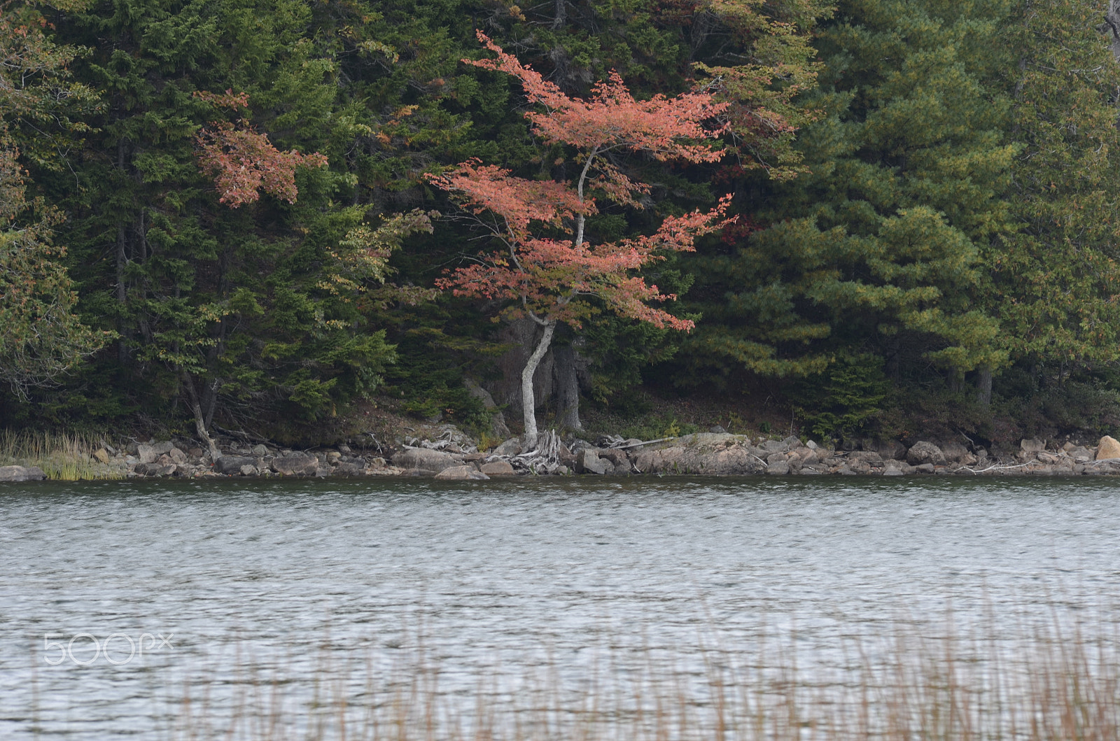 Sigma 50-150mm F2.8 EX APO DC HSM sample photo. 22760581939.jpg photography