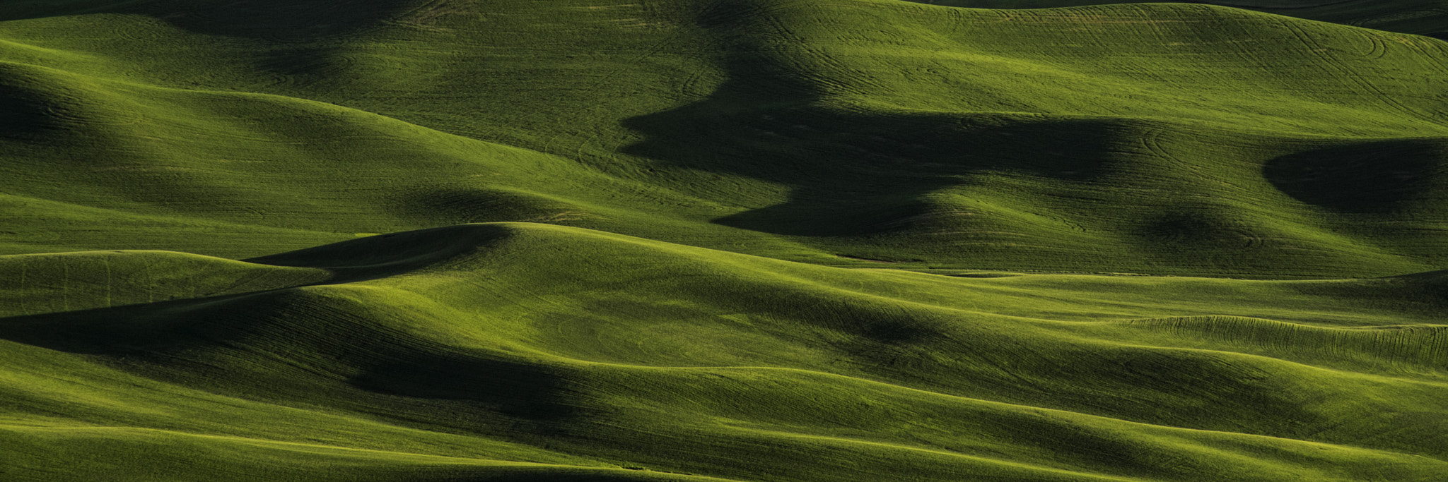 Sony 75-300mm F4.5-5.6 sample photo. Palouse detail photography