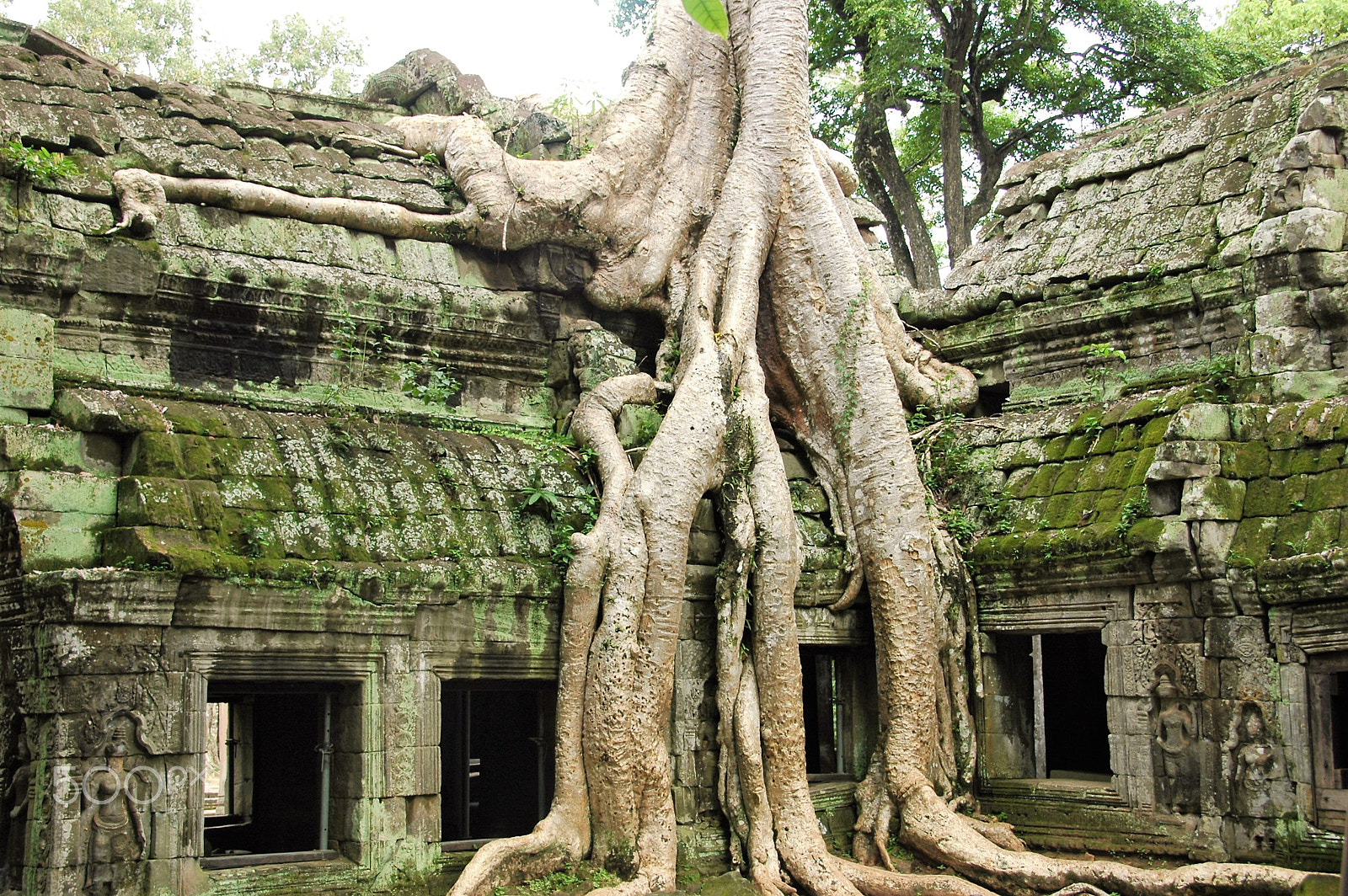 Nikon D70 sample photo. Siem reap photography