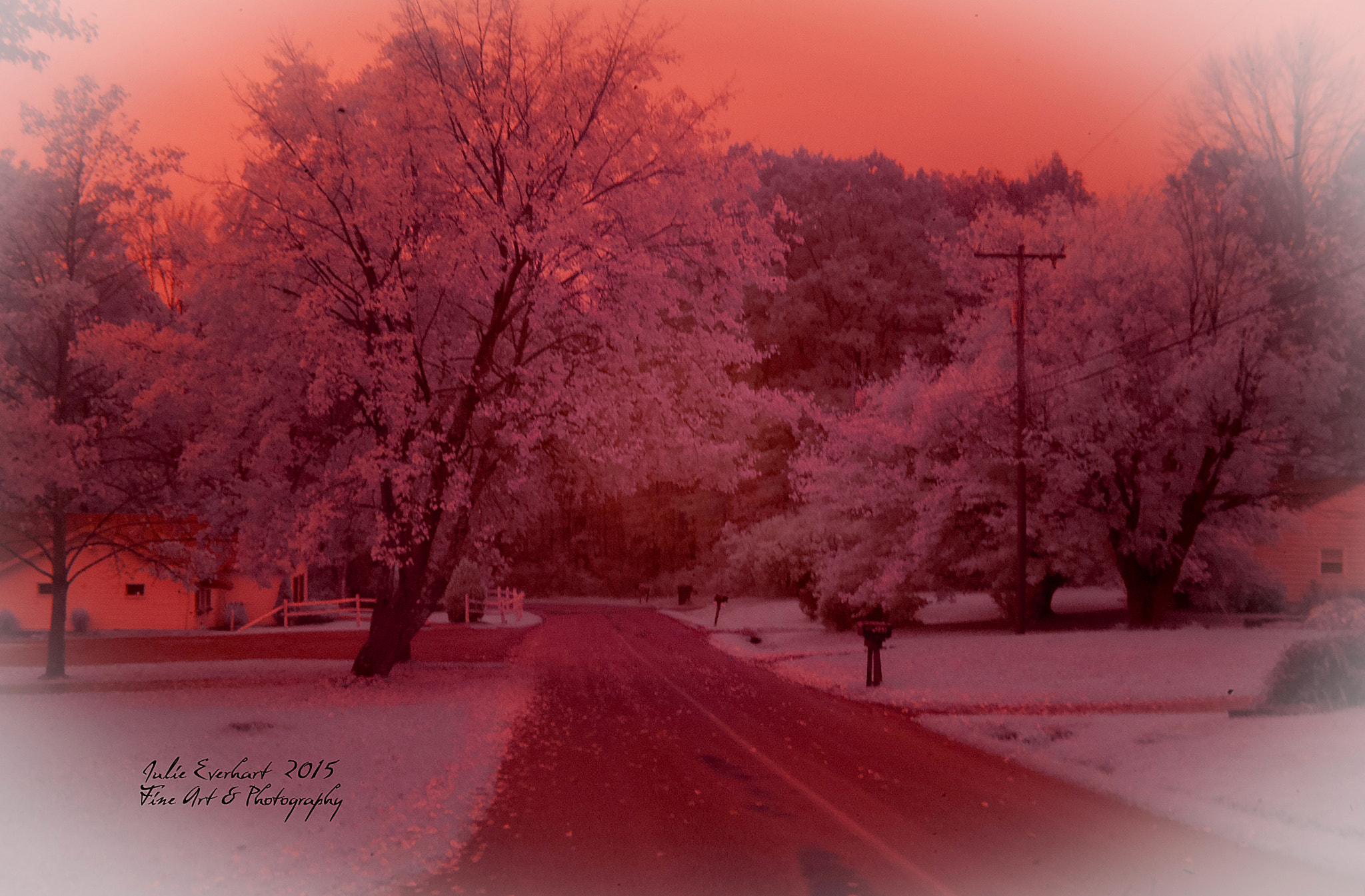 Nikon D70 sample photo. A vivid imagination photography