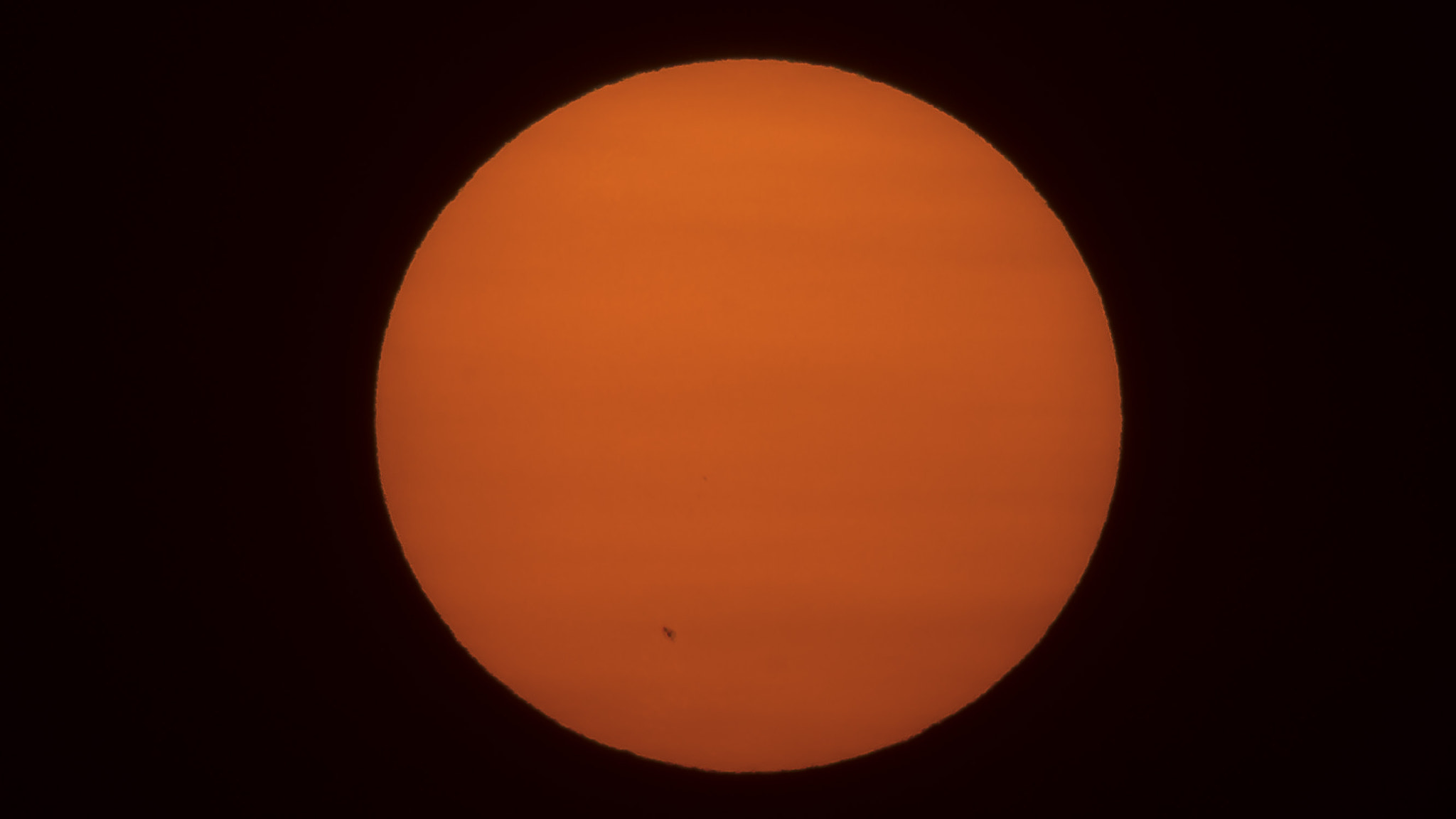 Sigma 150-600mm F5-6.3 DG OS HSM | C sample photo. Lr photography