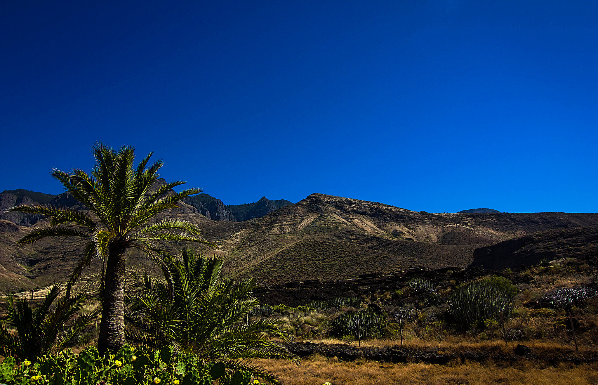 Tokina AT-X Pro 12-24mm F4 (IF) DX sample photo. Mountains photography