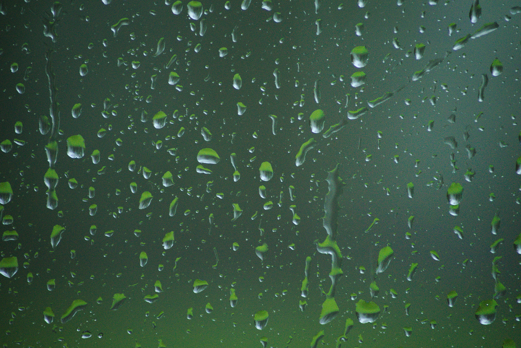 Tamron AF 90-300mm F4.5-5.6 Telemacro sample photo. Rain on the window photography