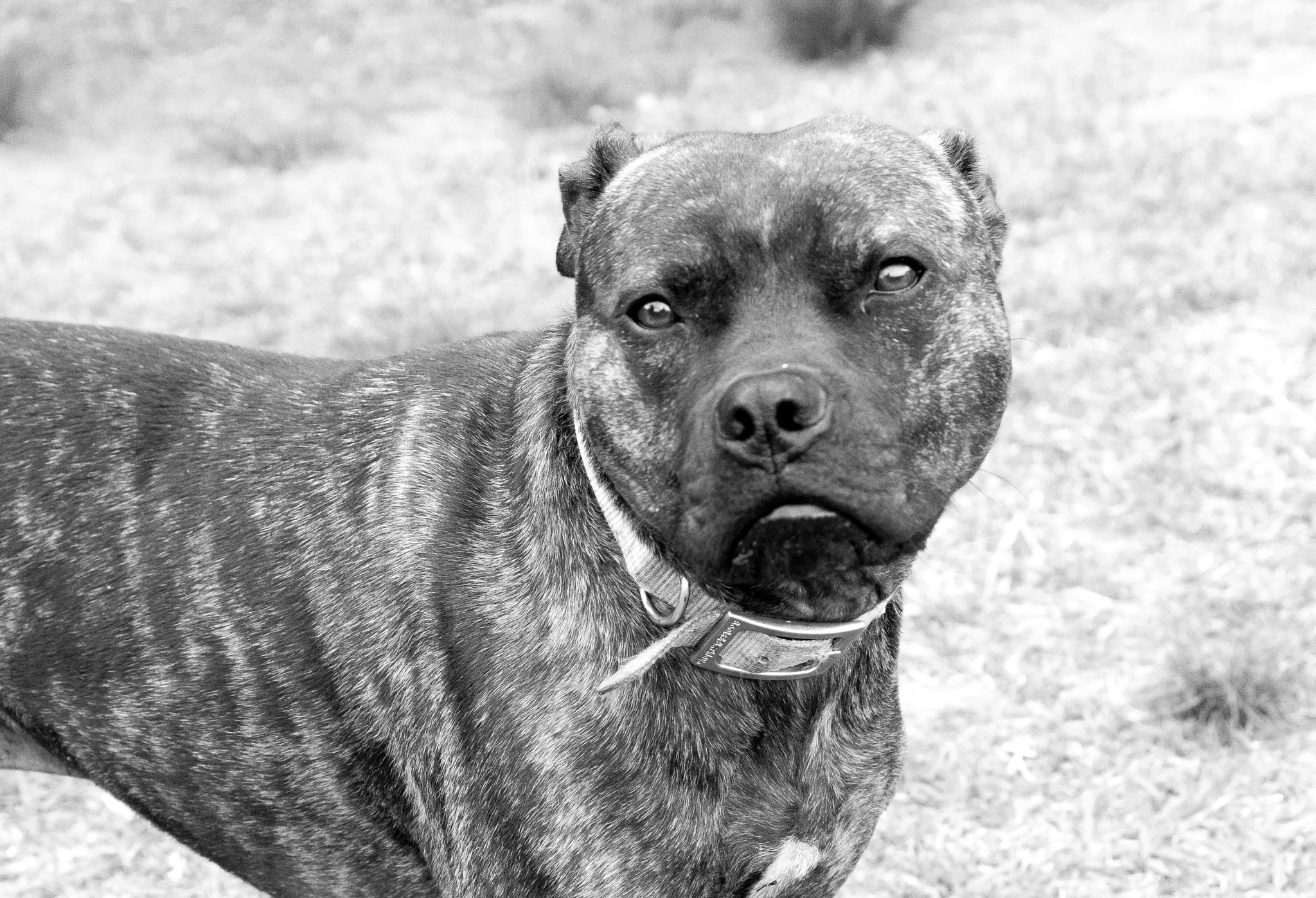 Canon EOS 100D (EOS Rebel SL1 / EOS Kiss X7) sample photo. Posing | wilmington | nc photography