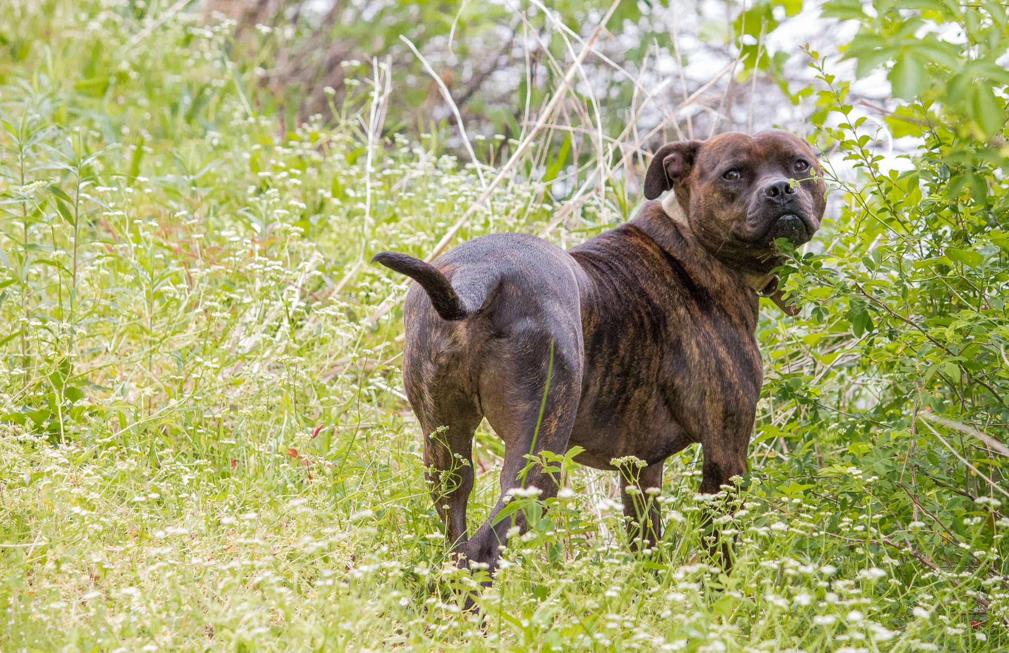 Canon EOS 100D (EOS Rebel SL1 / EOS Kiss X7) sample photo. New friend | wilmington | nc photography