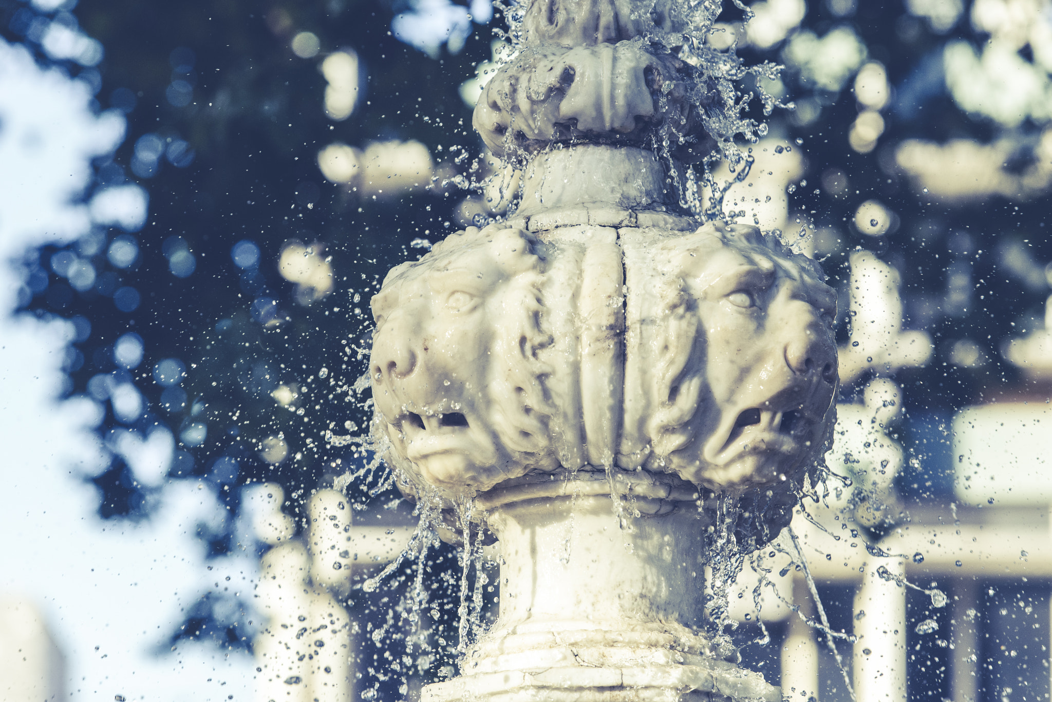 AF-S Zoom-Nikkor 80-200mm f/2.8D IF-ED sample photo. Fuente source photography