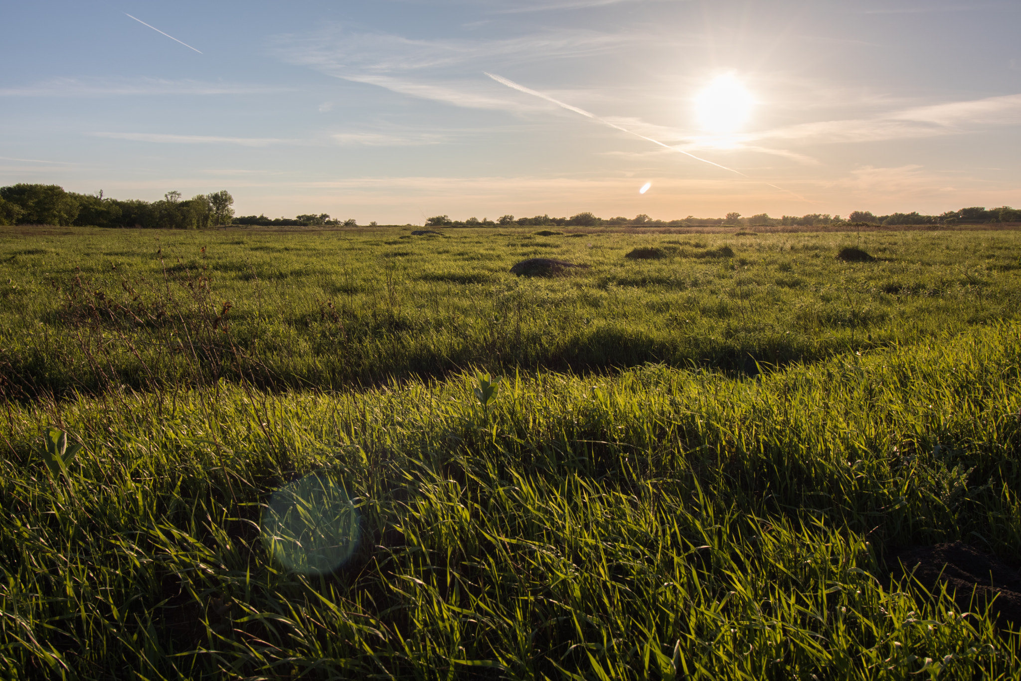 Canon EF-S 10-18mm F4.5–5.6 IS STM sample photo. Buffalo river state park photography