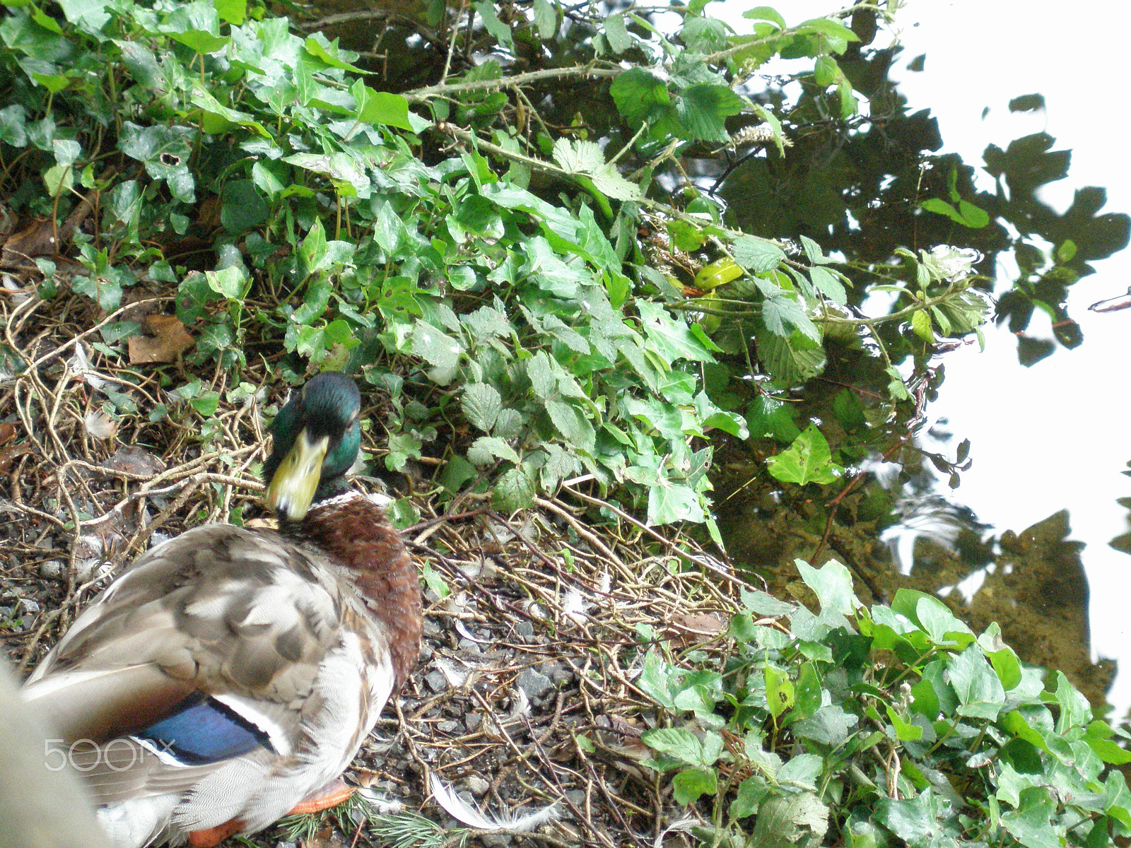 Olympus u810/S810 sample photo. Oi! photography