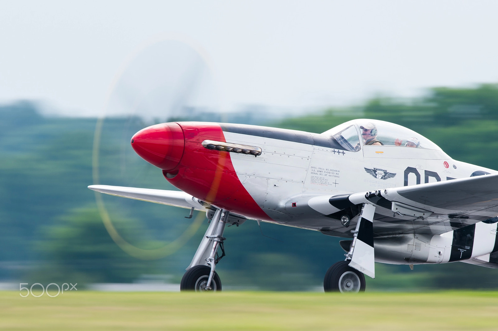 Sigma 150-600mm F5-6.3 DG OS HSM | S sample photo. Old red nose photography