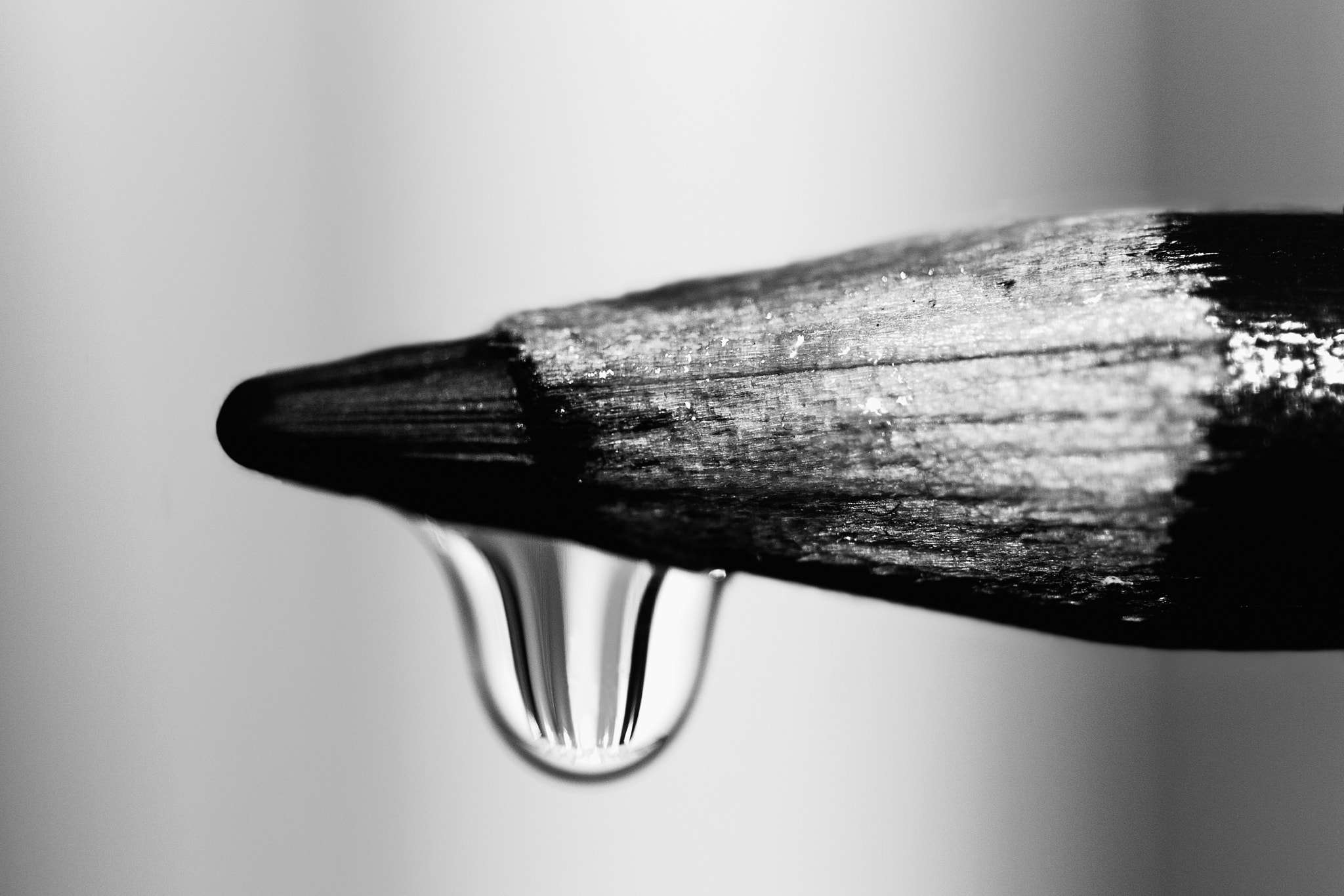 Canon EF 100mm F2.8 Macro USM sample photo. Out of paper photography