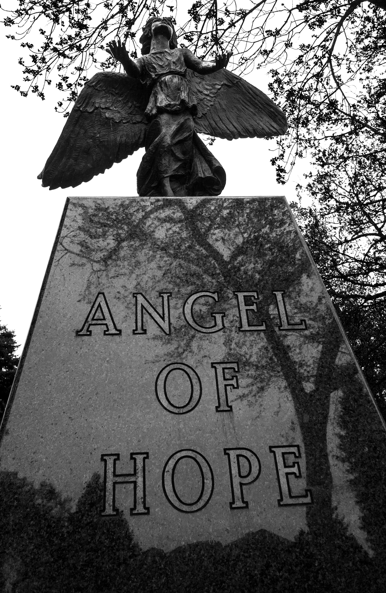 Canon EOS 600D (Rebel EOS T3i / EOS Kiss X5) + Canon EF-S 10-18mm F4.5–5.6 IS STM sample photo. Angel of hope photography