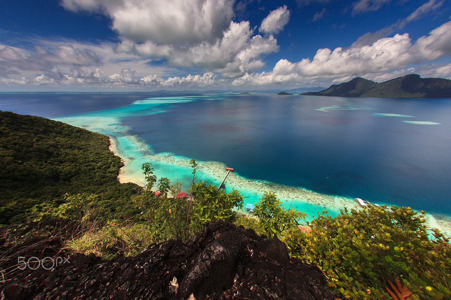 Canon EF 15mm F2.8 Fisheye sample photo. From the top photography