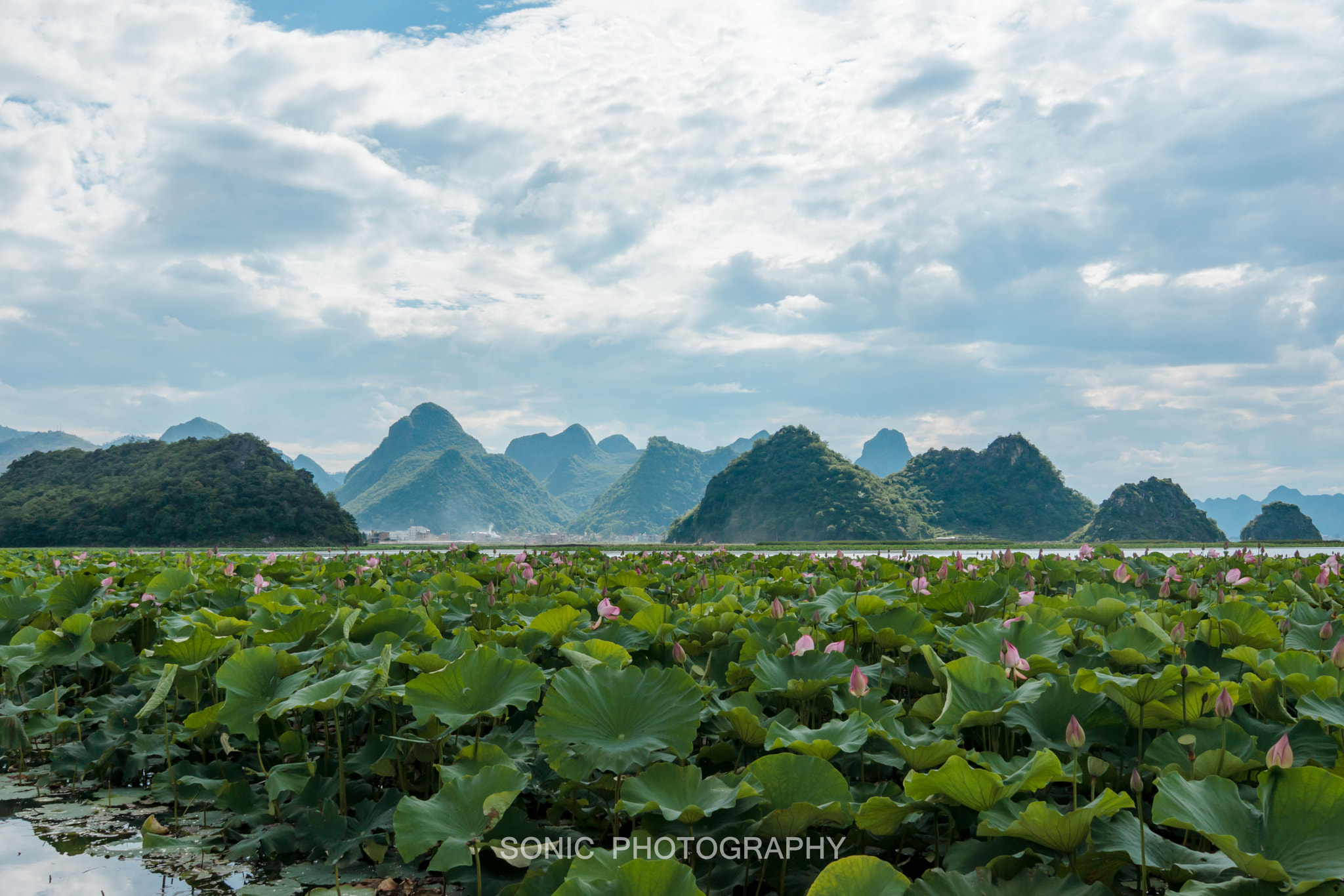 Sony SLT-A77 sample photo. 七彩云南 photography