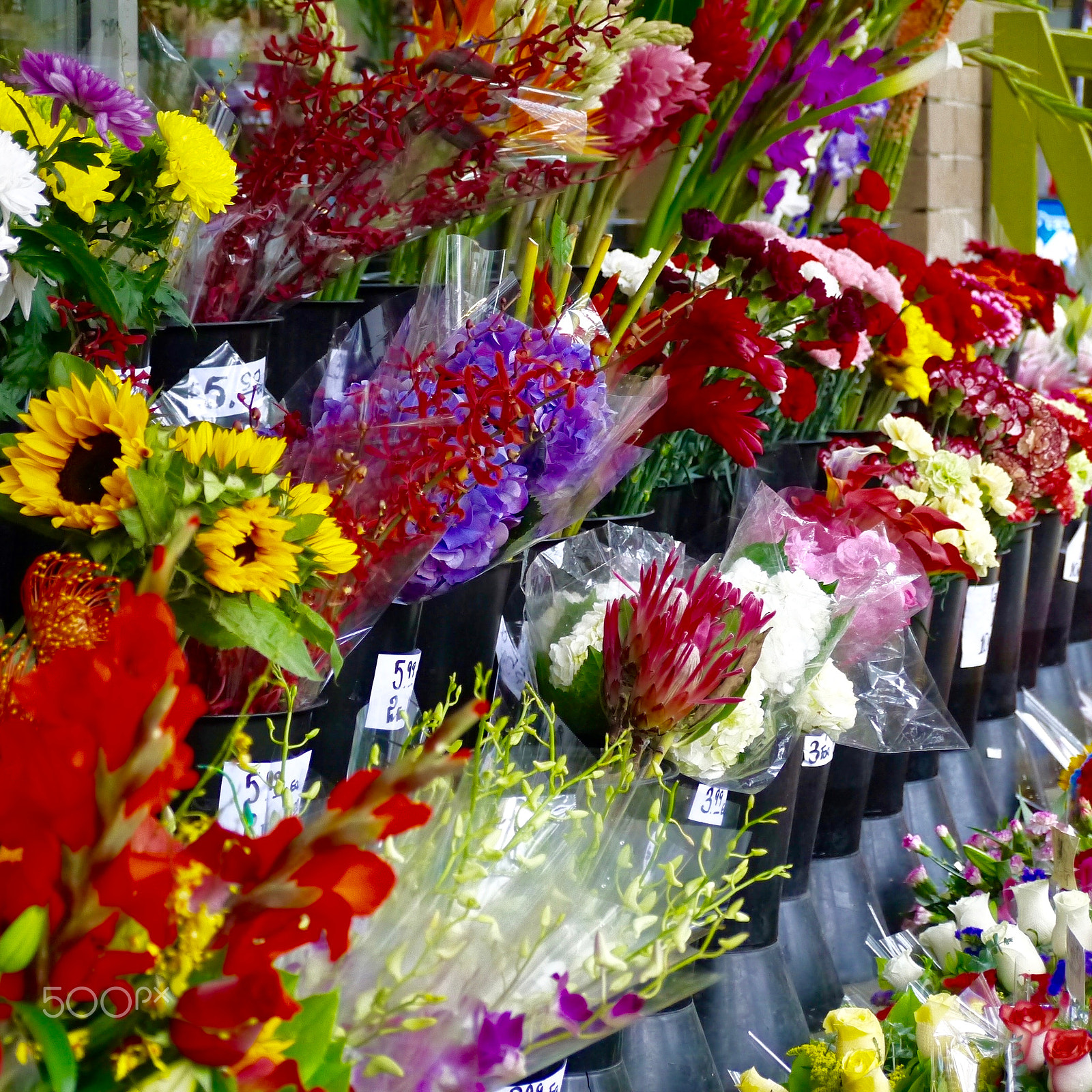 Panasonic Lumix G Vario 45-200mm F4-5.6 OIS sample photo. Fresh photography