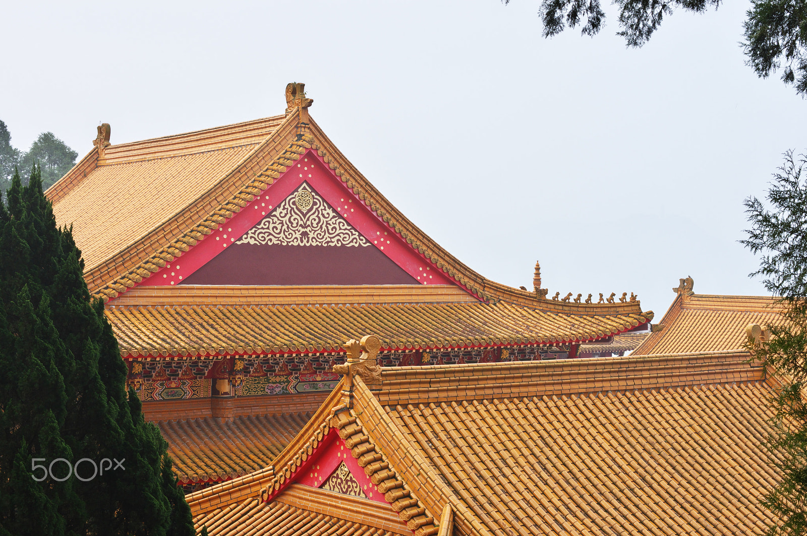 Pentax K-3 + HD Pentax DA 40mm F2.8 Limited sample photo. Temple and trees photography