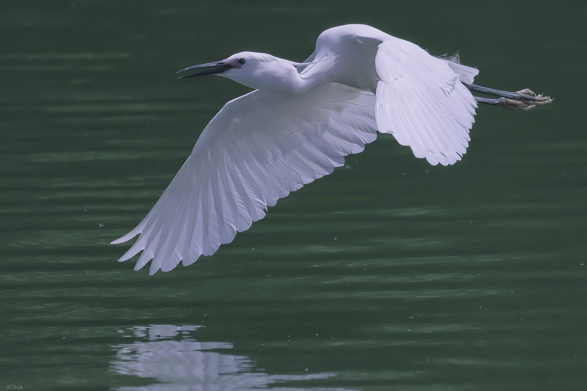 Nikon AF-S Nikkor 400mm F2.8G ED VR II sample photo. Sagi photography