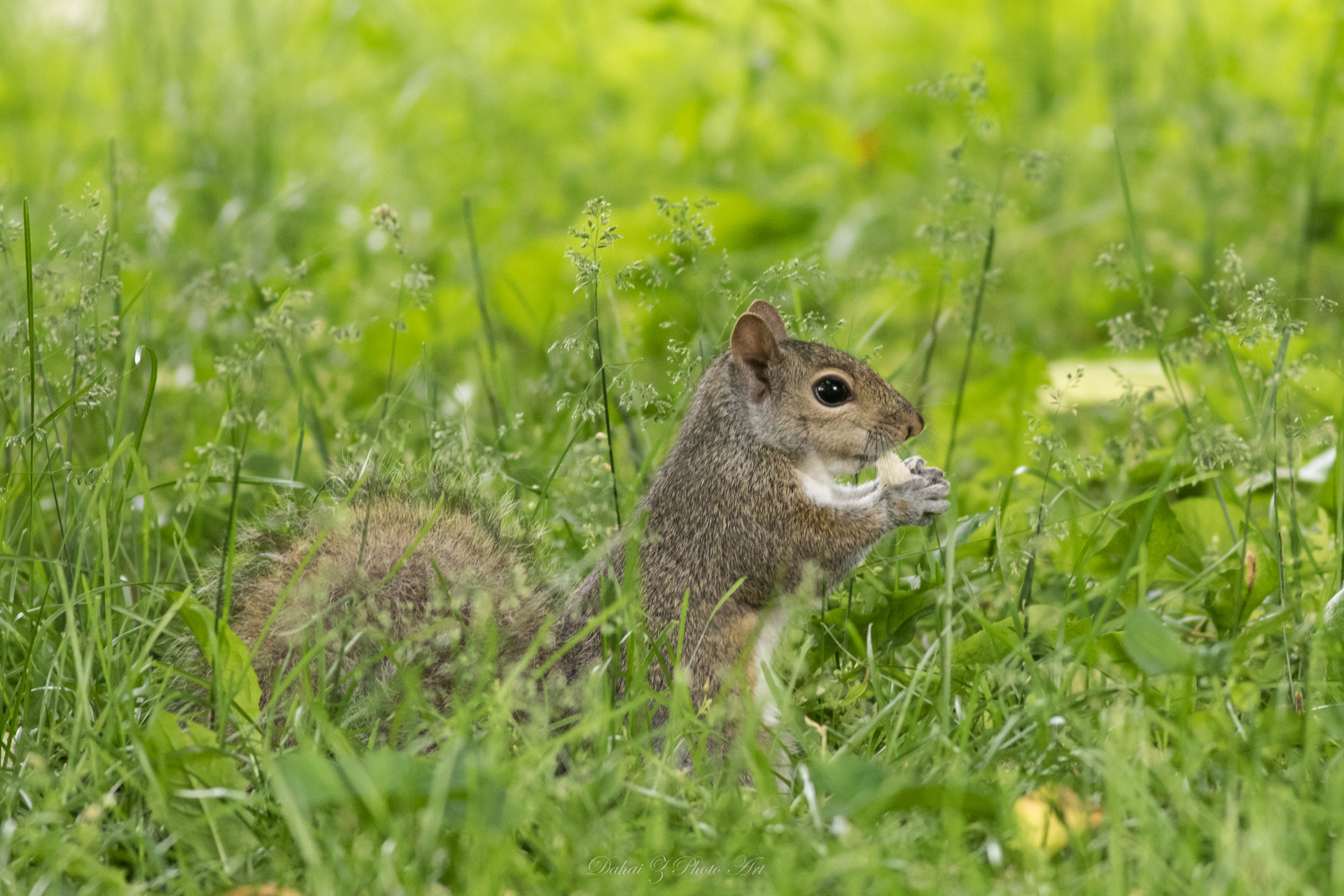 Canon EOS 7D Mark II + Canon EF 400mm F5.6L USM sample photo. Let me have my lunch photography