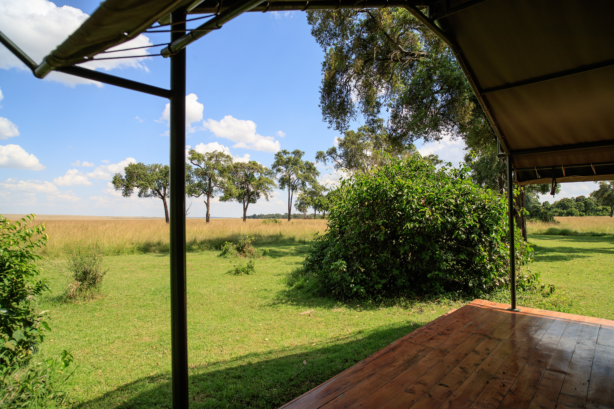 Canon EOS-1D X Mark II sample photo. The view from tent #37 photography