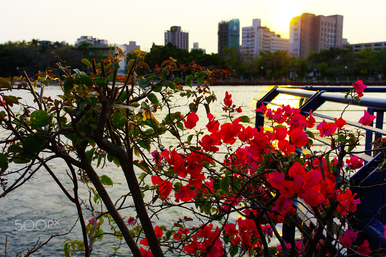 Pentax K-3 sample photo. Kaohsiung sunset photography