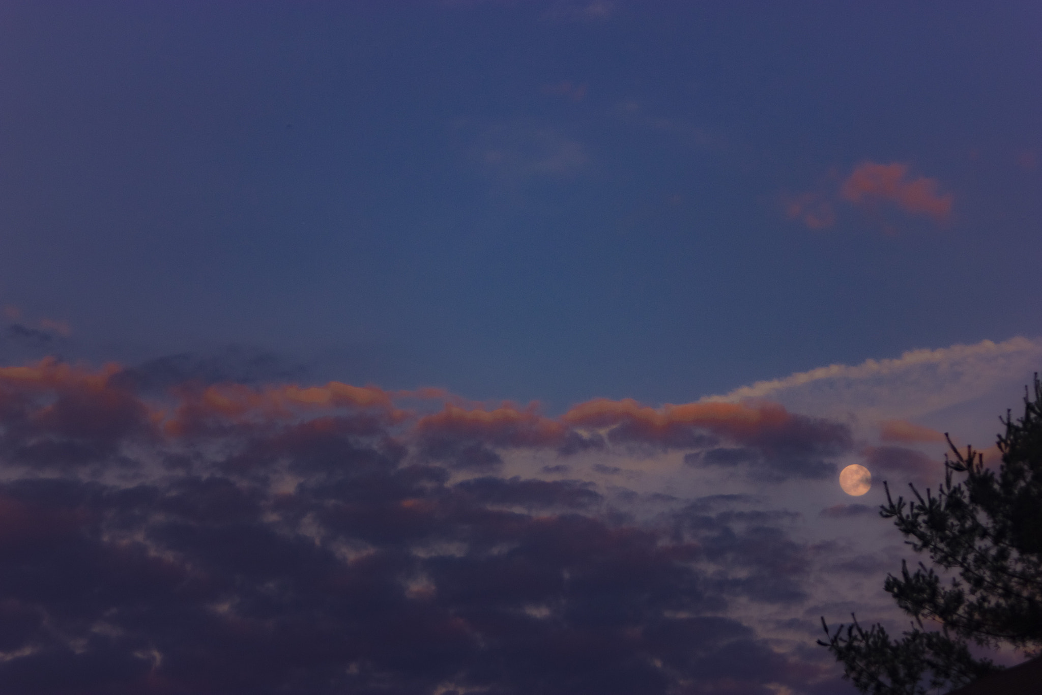 Canon EF 35-80mm f/4-5.6 sample photo. Beautiful twilight photography